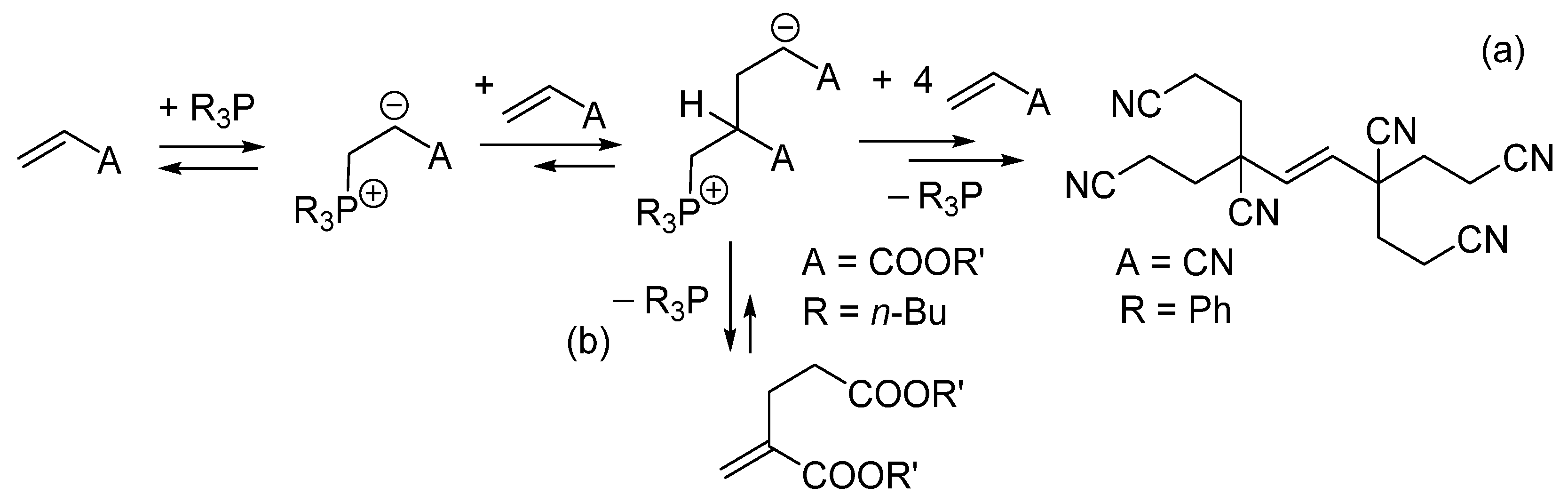 Catalysts 16 00131 g042