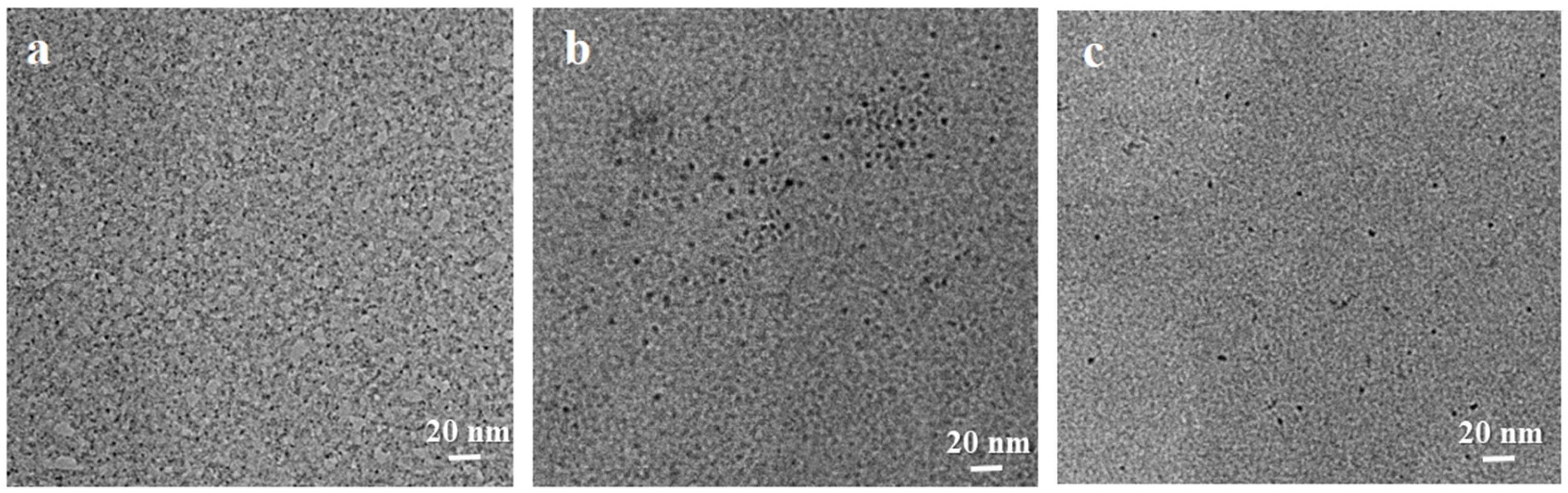 Catalysts 16 00132 g003