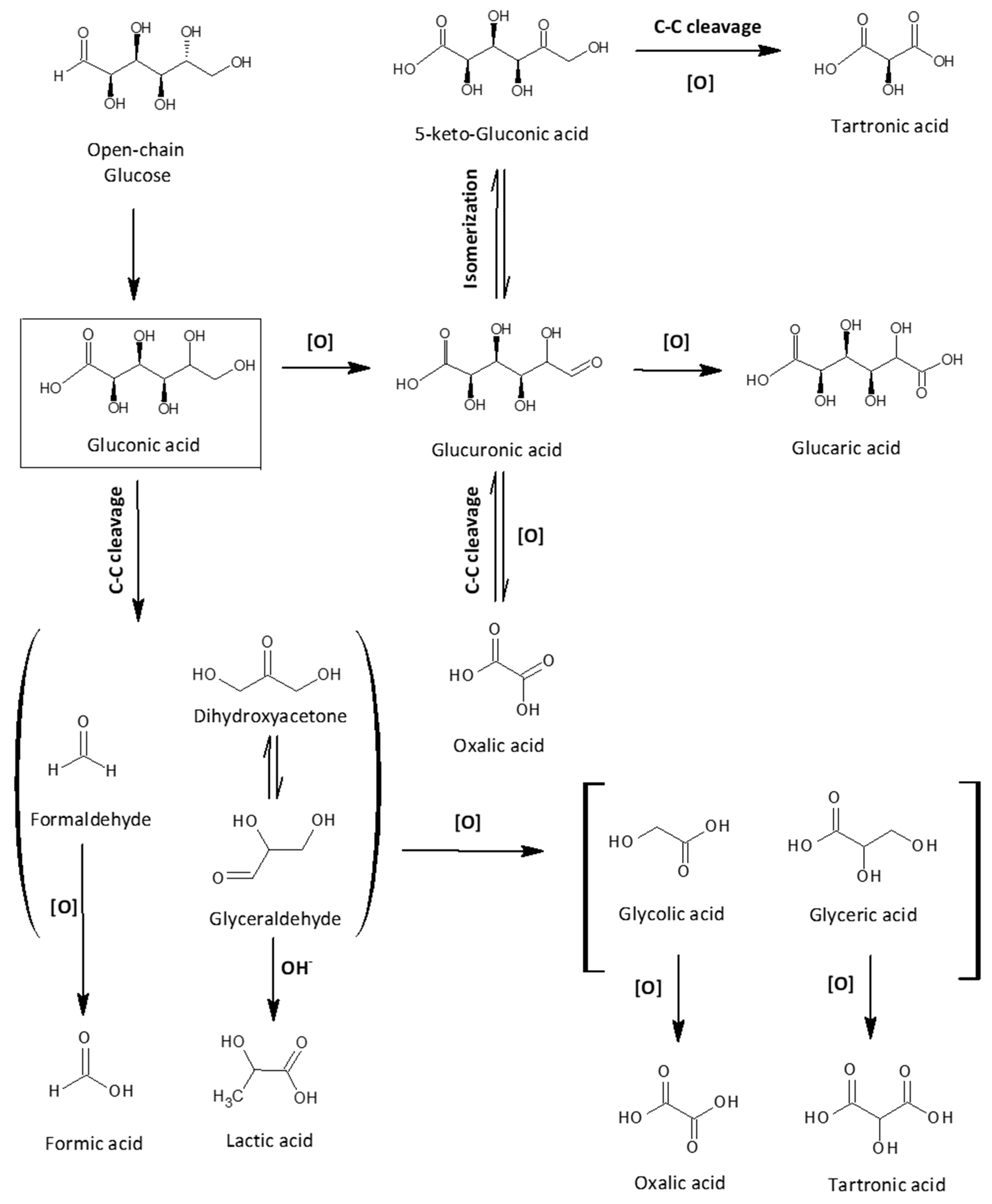 Catalysts 16 00135 sch001