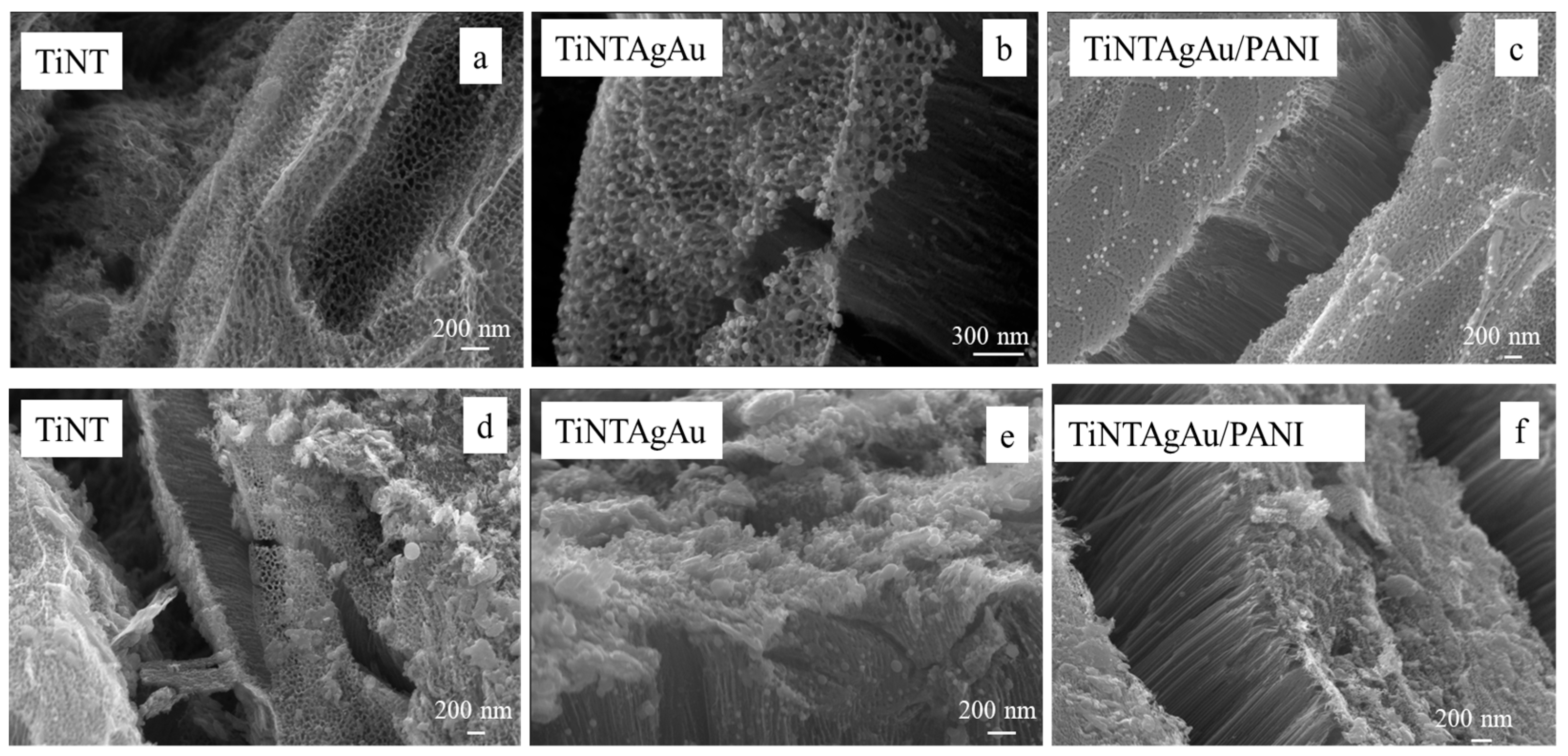 Catalysts 16 00137 g006