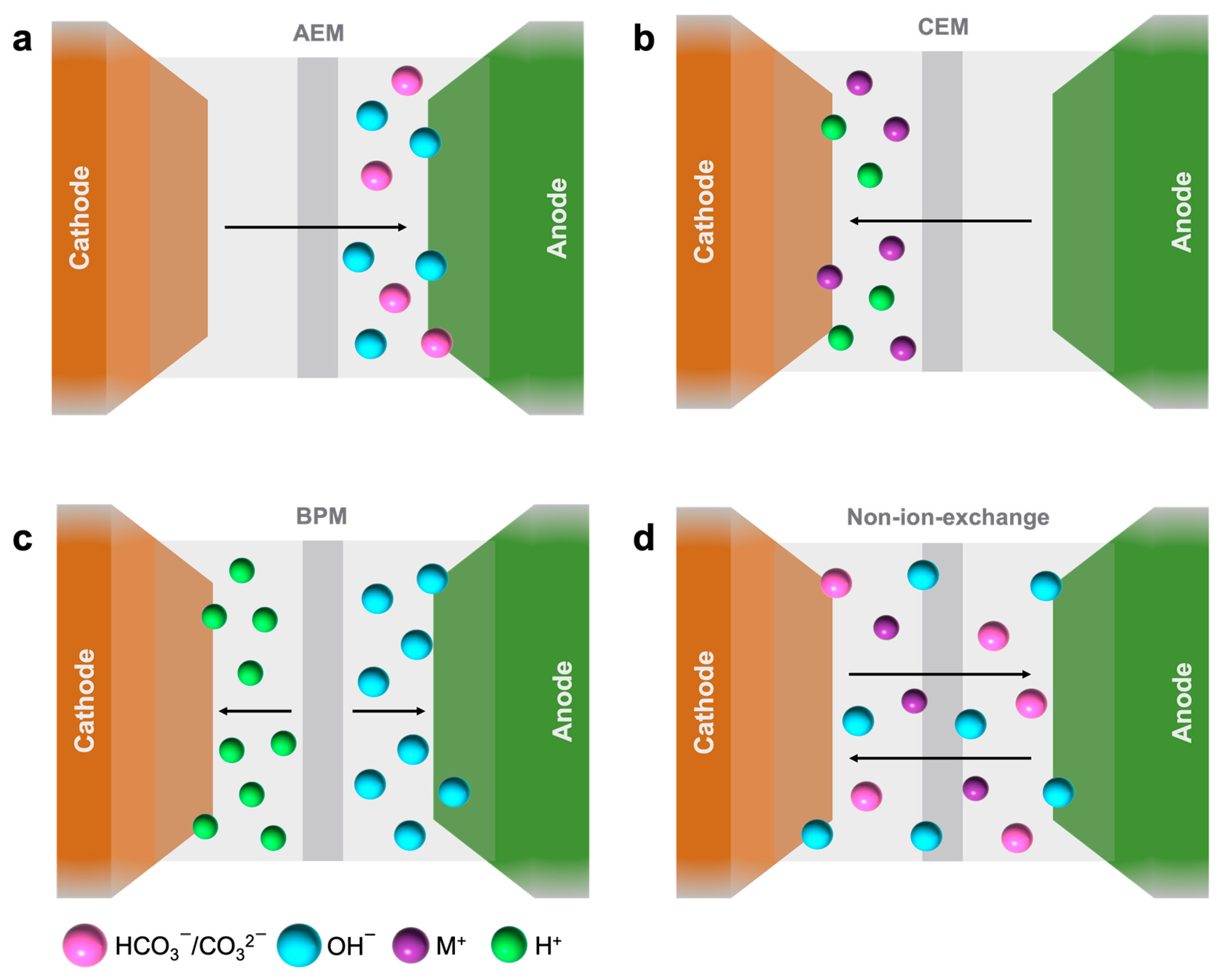 Catalysts 16 00139 g002
