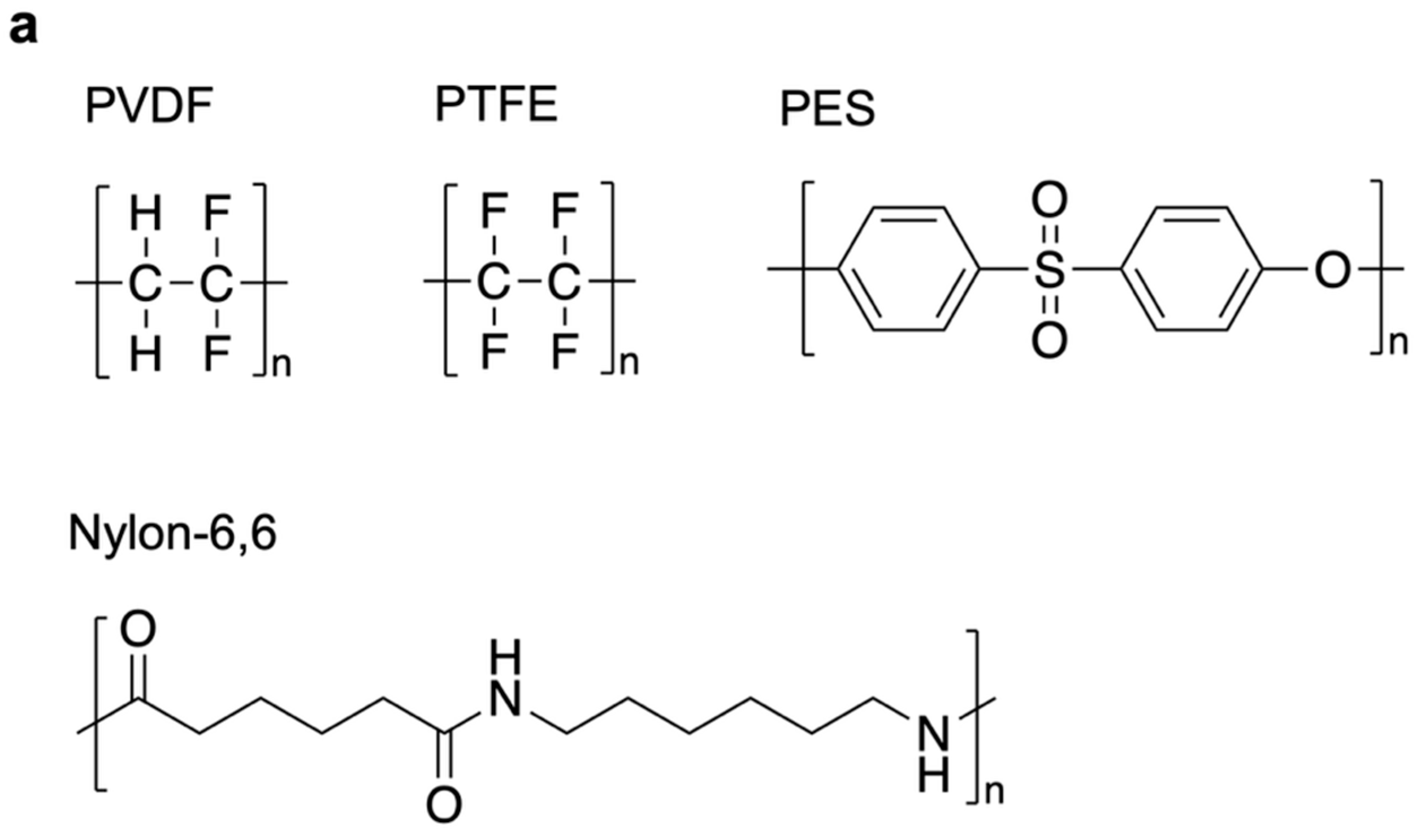Catalysts 16 00139 g006a