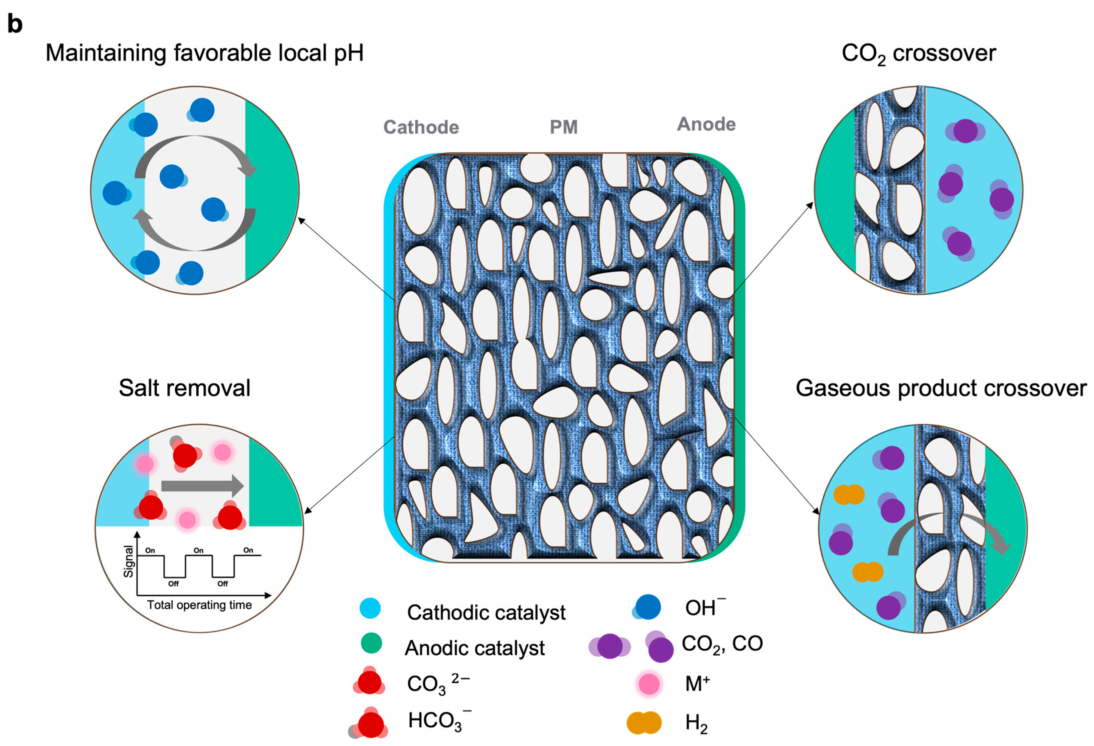 Catalysts 16 00139 g006b