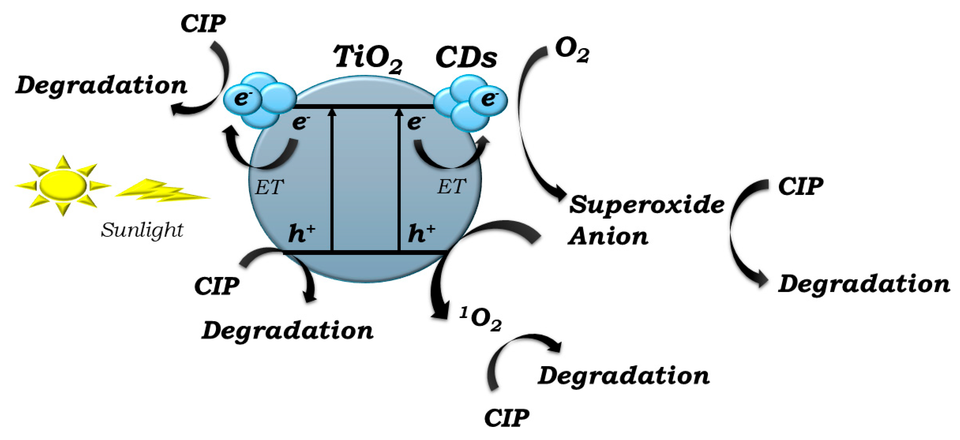 Catalysts 16 00142 g006