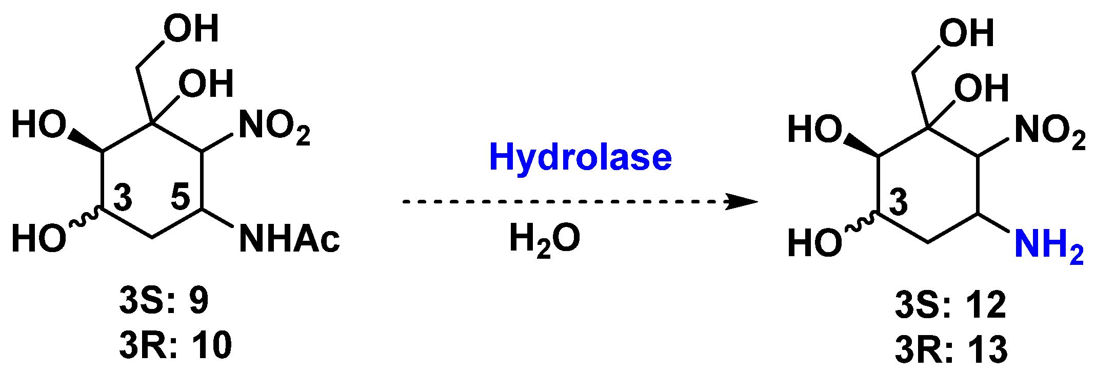 Catalysts 16 00144 g005
