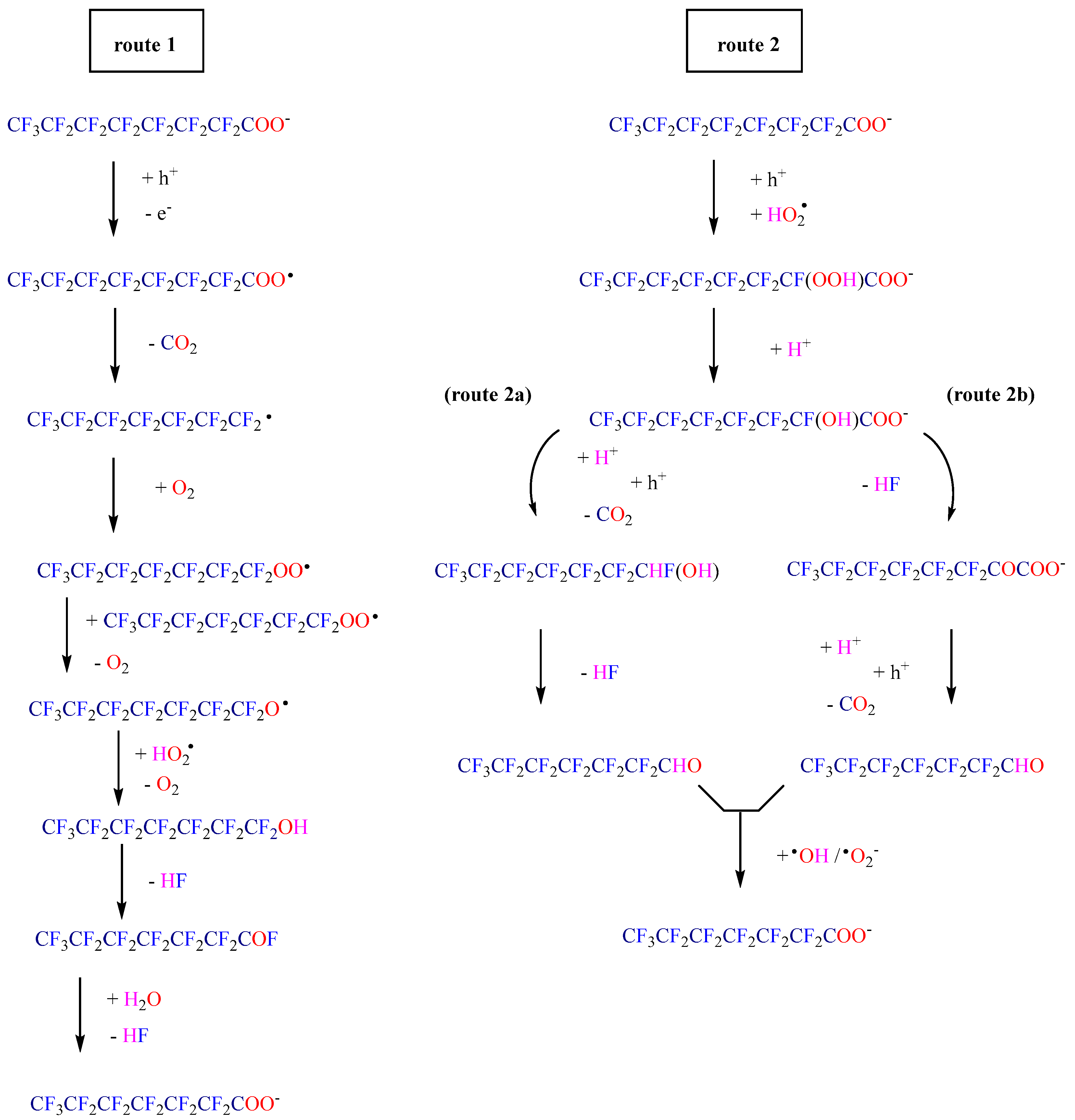 Catalysts 16 00145 g003