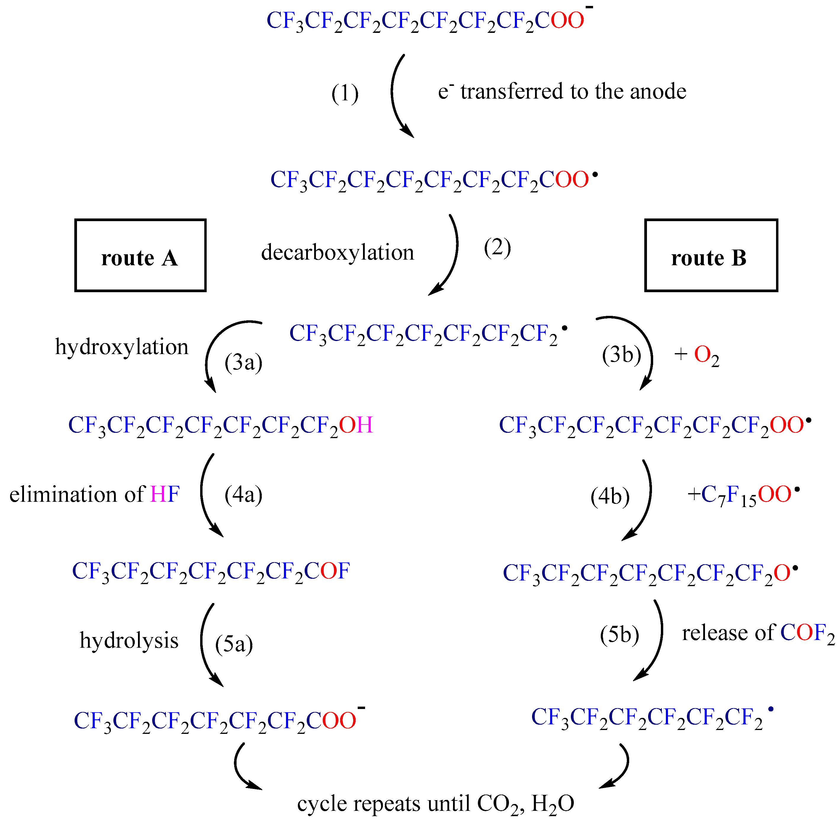 Catalysts 16 00145 g004