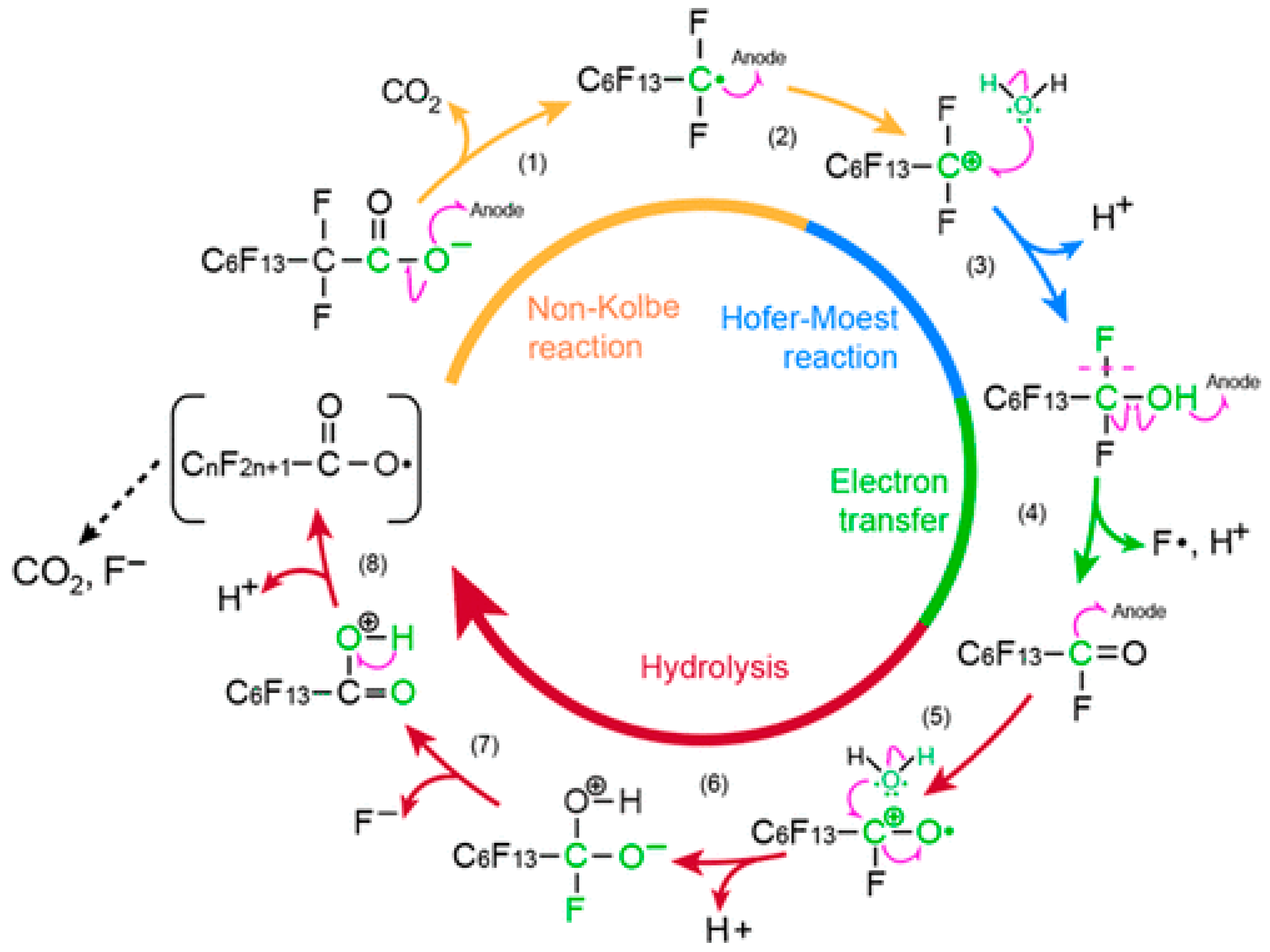 Catalysts 16 00145 g005