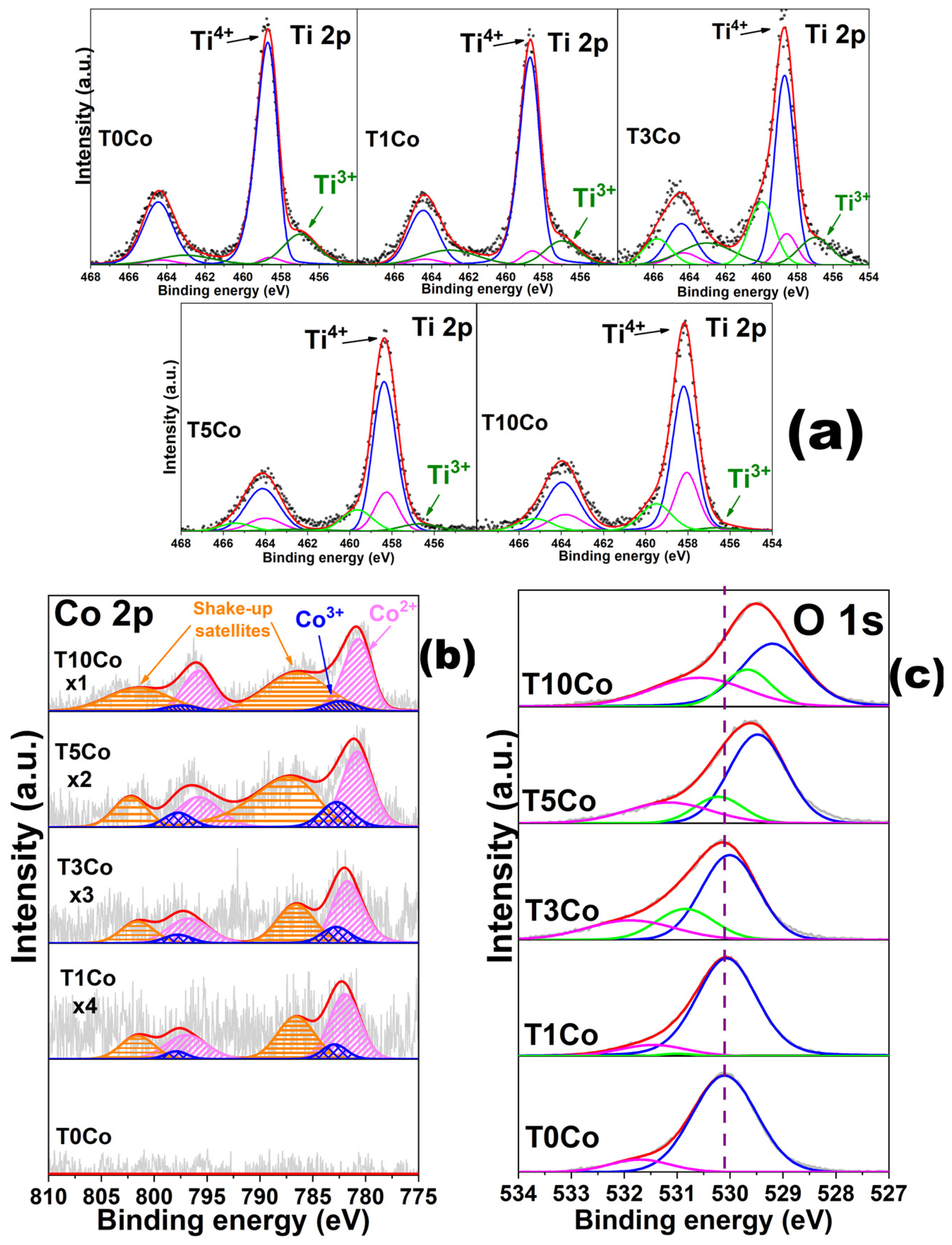 Catalysts 16 00146 g002