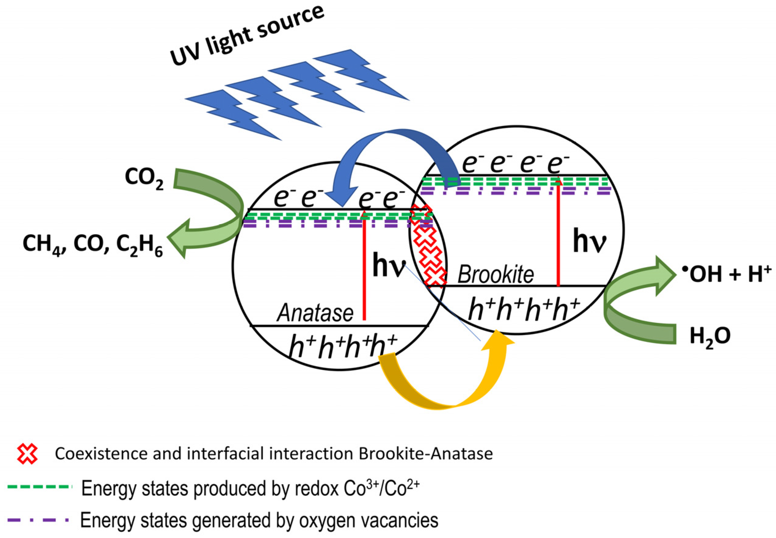 Catalysts 16 00146 g012