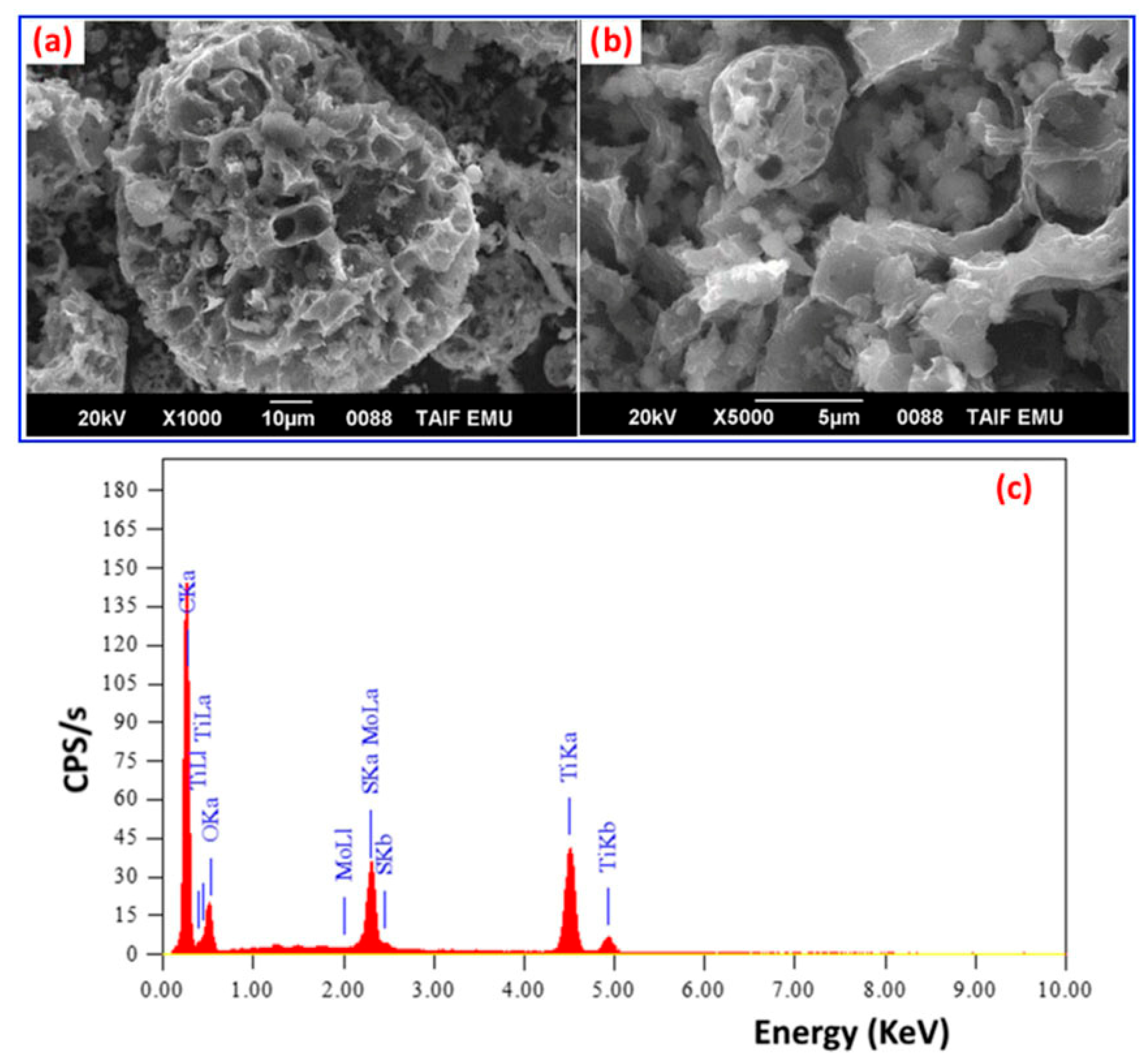 Catalysts 16 00147 g011