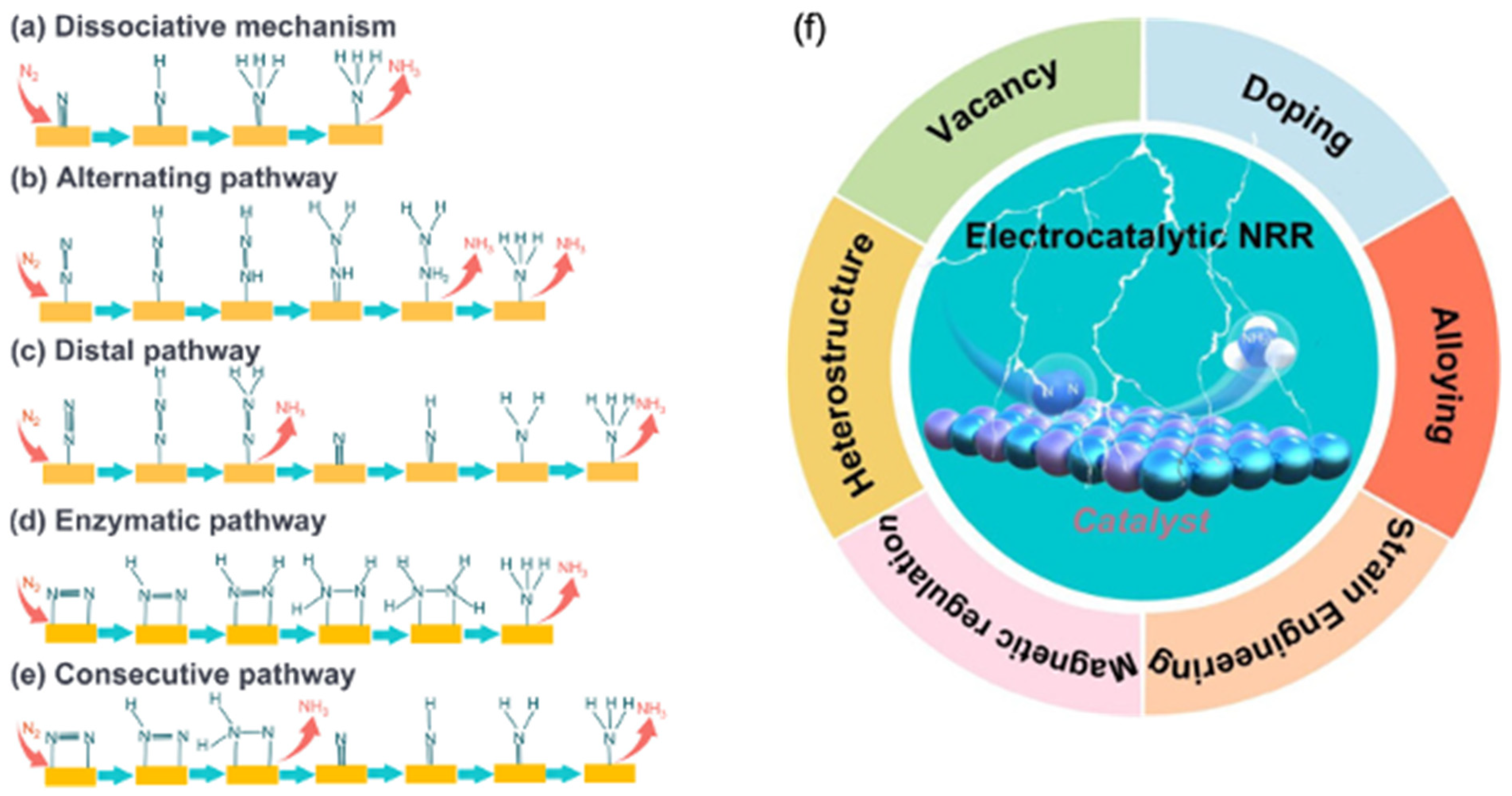 Catalysts 16 00149 g002