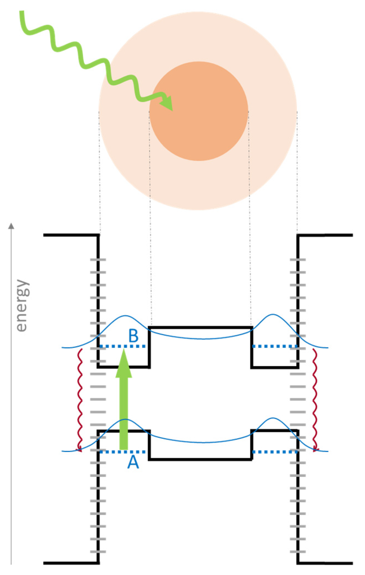 Catalysts 16 00157 g001