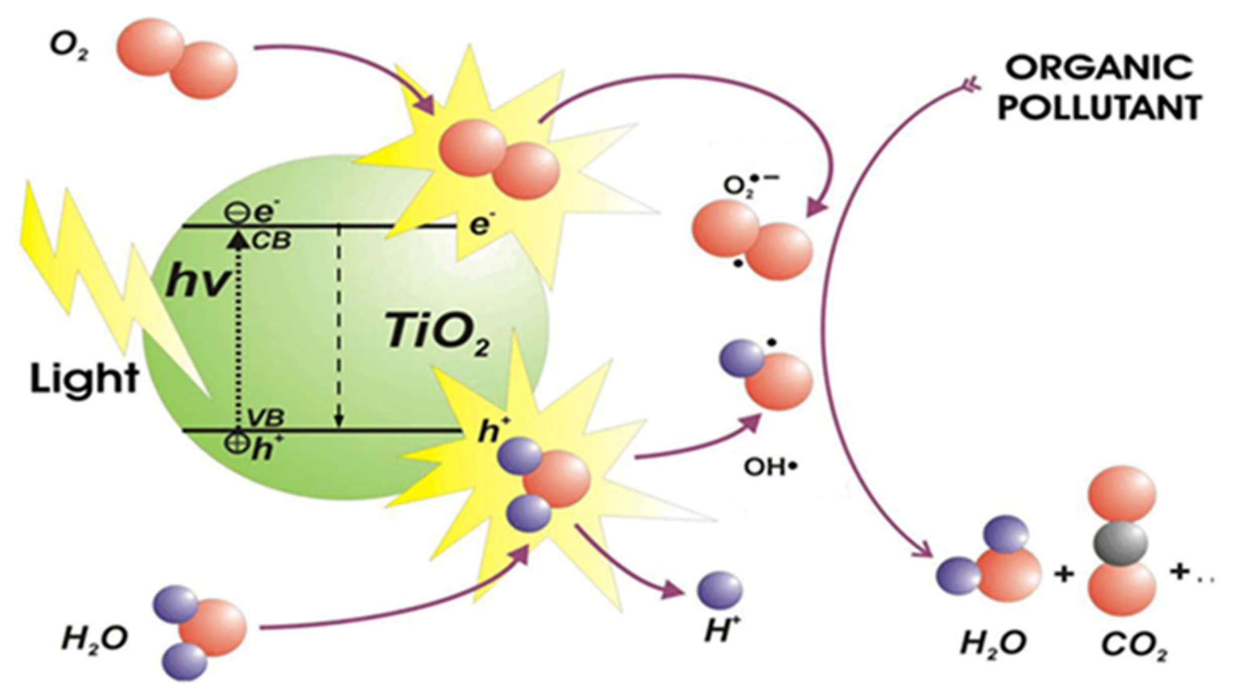 Catalysts 16 00157 g003