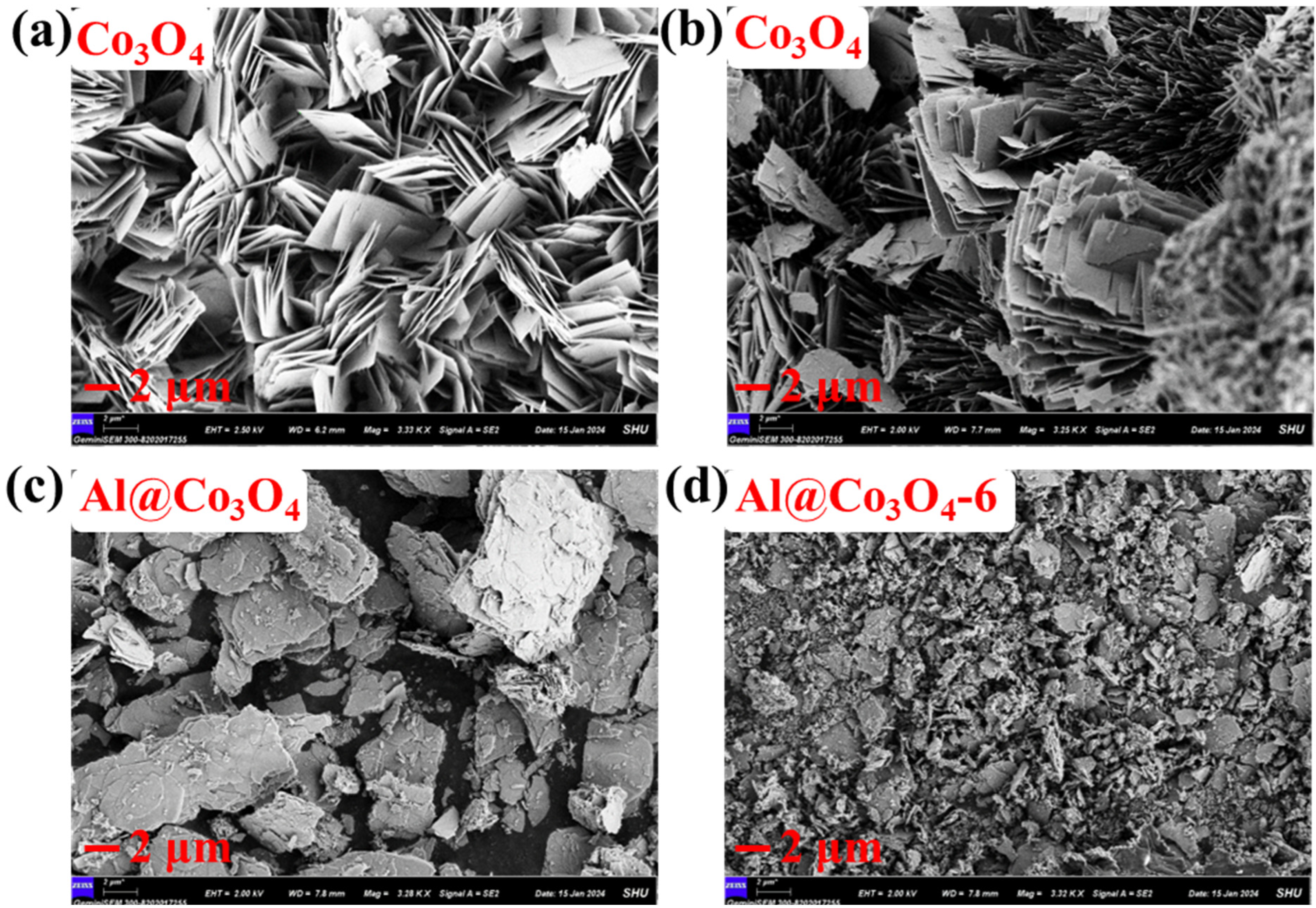 Catalysts 16 00158 g002
