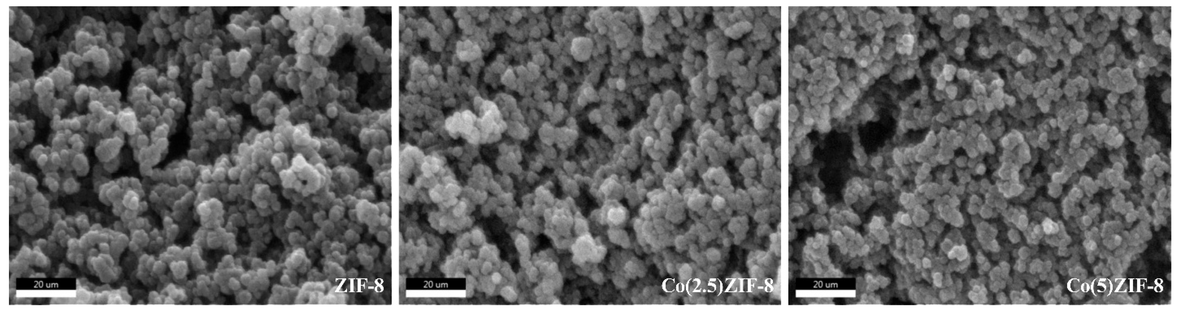 Catalysts 16 00176 g002 Catalysts 16 00176 g002