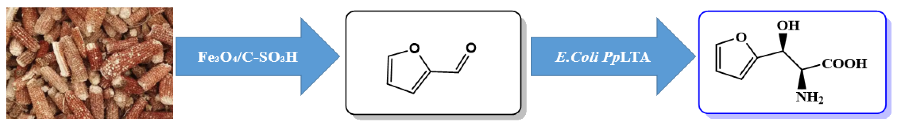 Catalysts 16 00180 sch001 Catalysts 16 00180 sch001