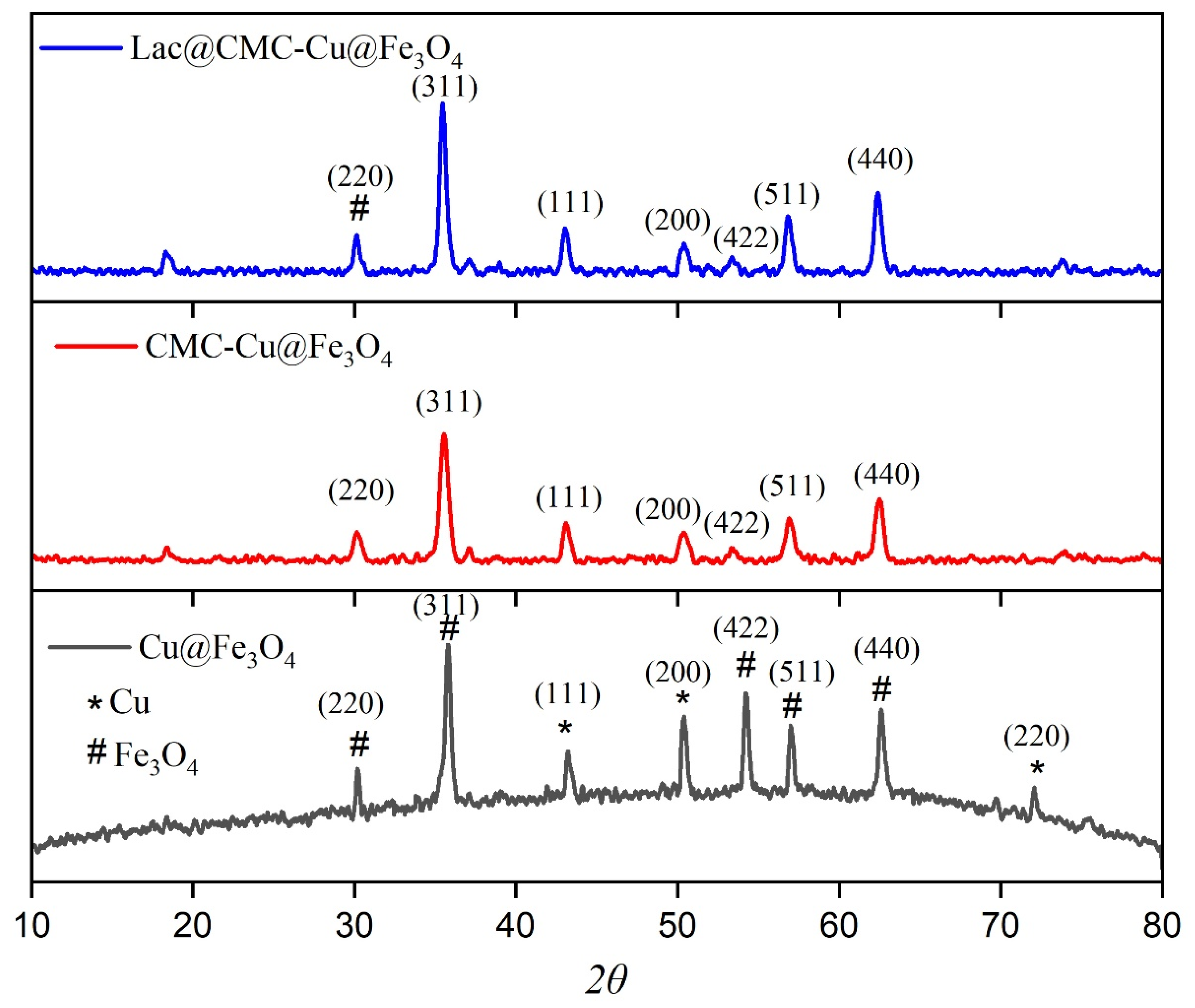 Catalysts 16 00182 g001