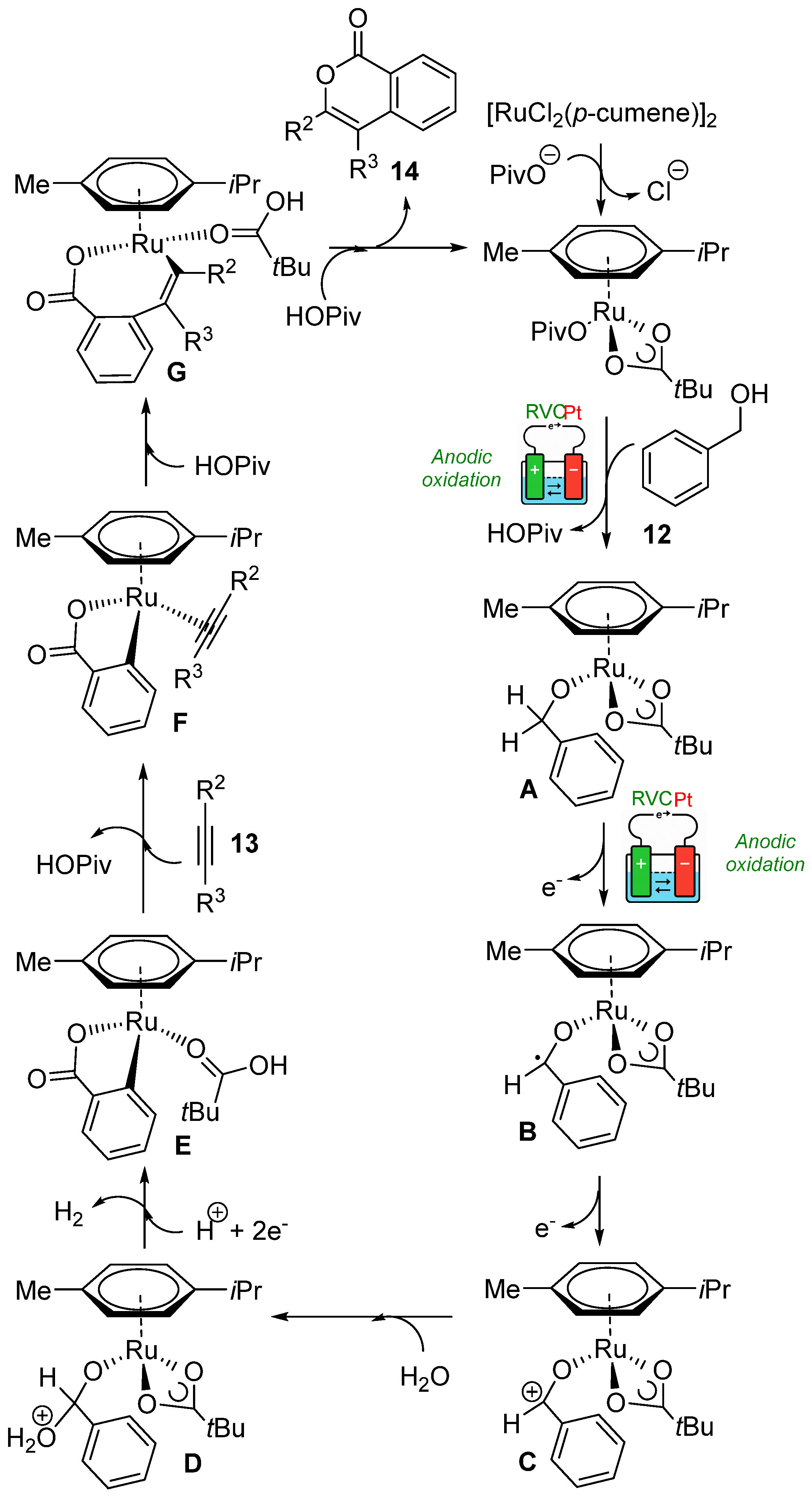 Catalysts 16 00200 sch006