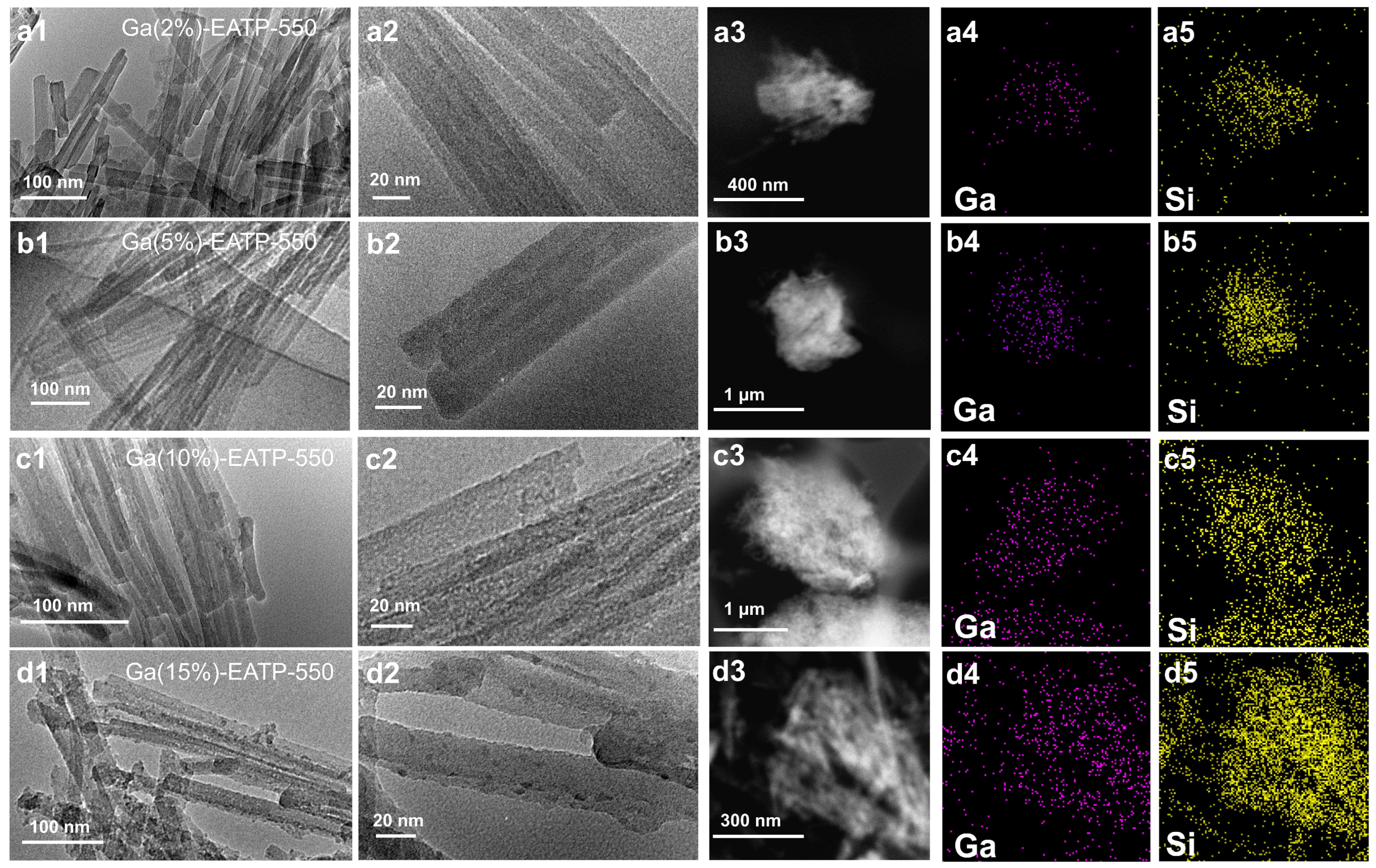 Catalysts 16 00203 g003 Catalysts 16 00203 g003