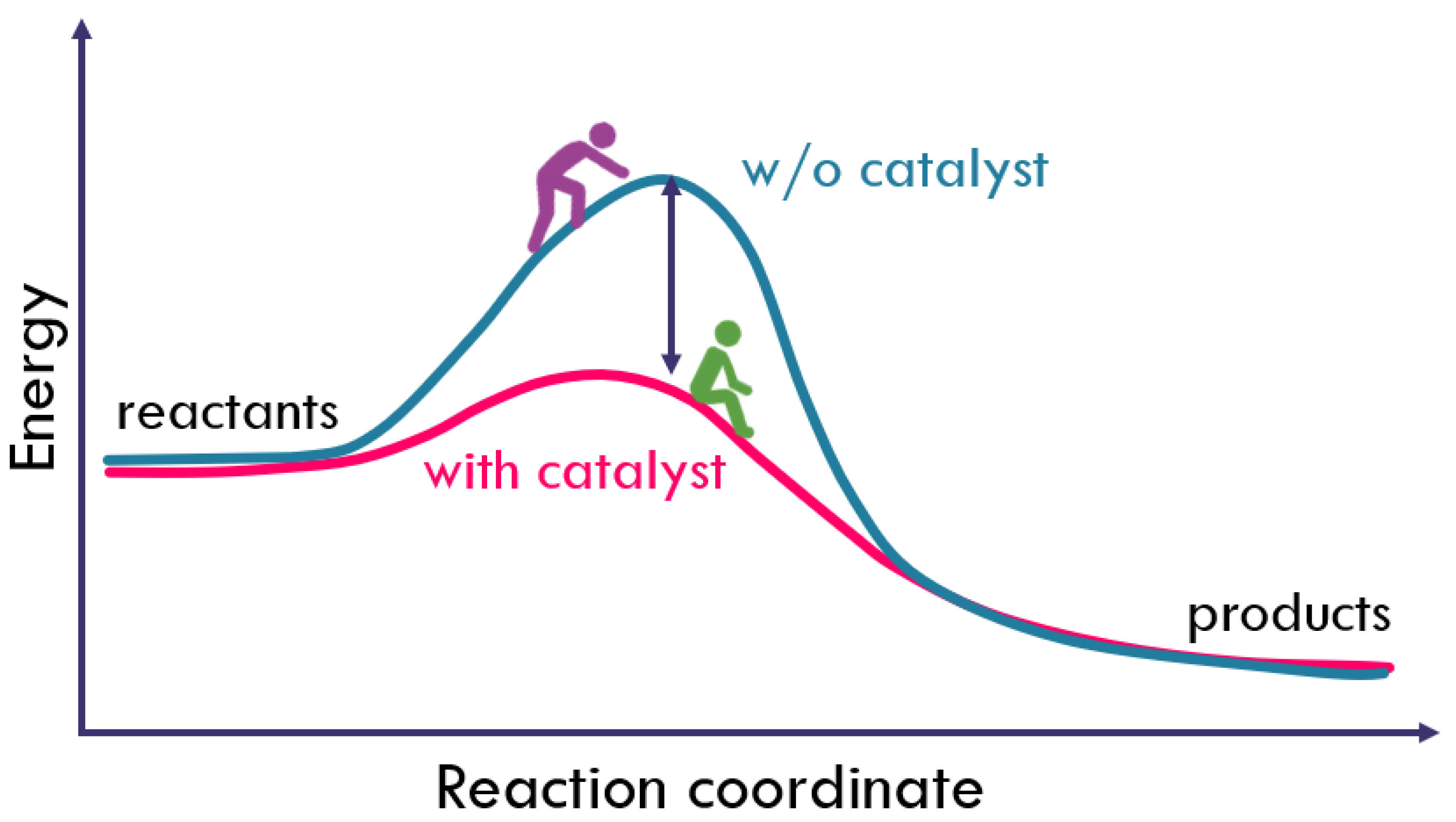 Catalysts 16 00218 g002