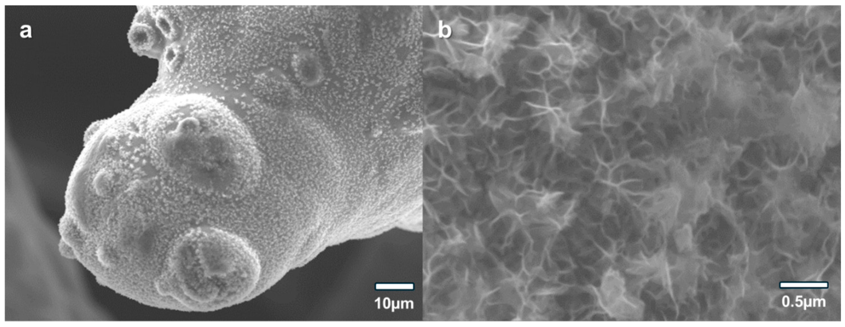 Catalysts 16 00252 g001 Catalysts 16 00252 g001