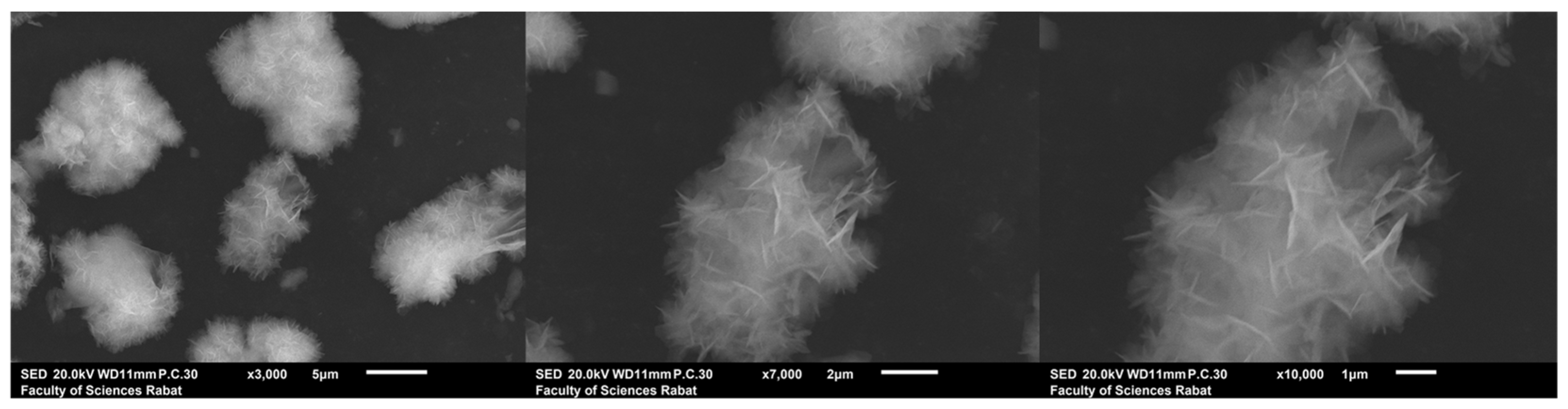 Catalysts 16 00254 g002 Catalysts 16 00254 g002