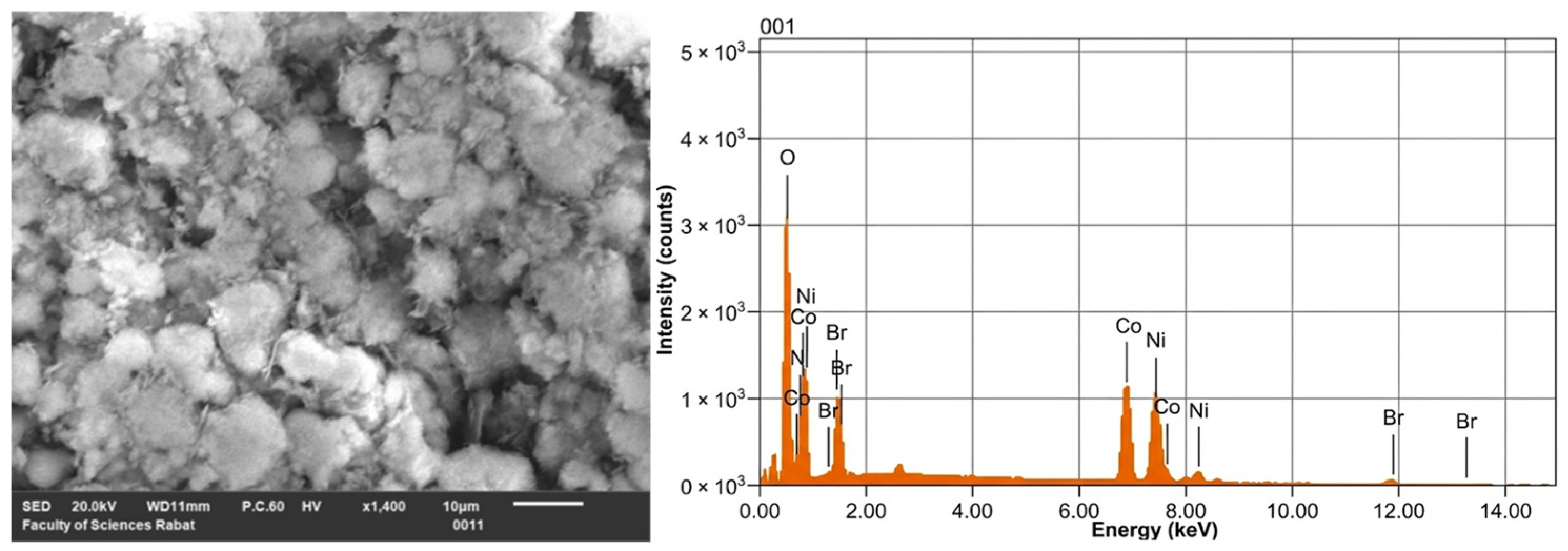 Catalysts 16 00254 g003 Catalysts 16 00254 g003