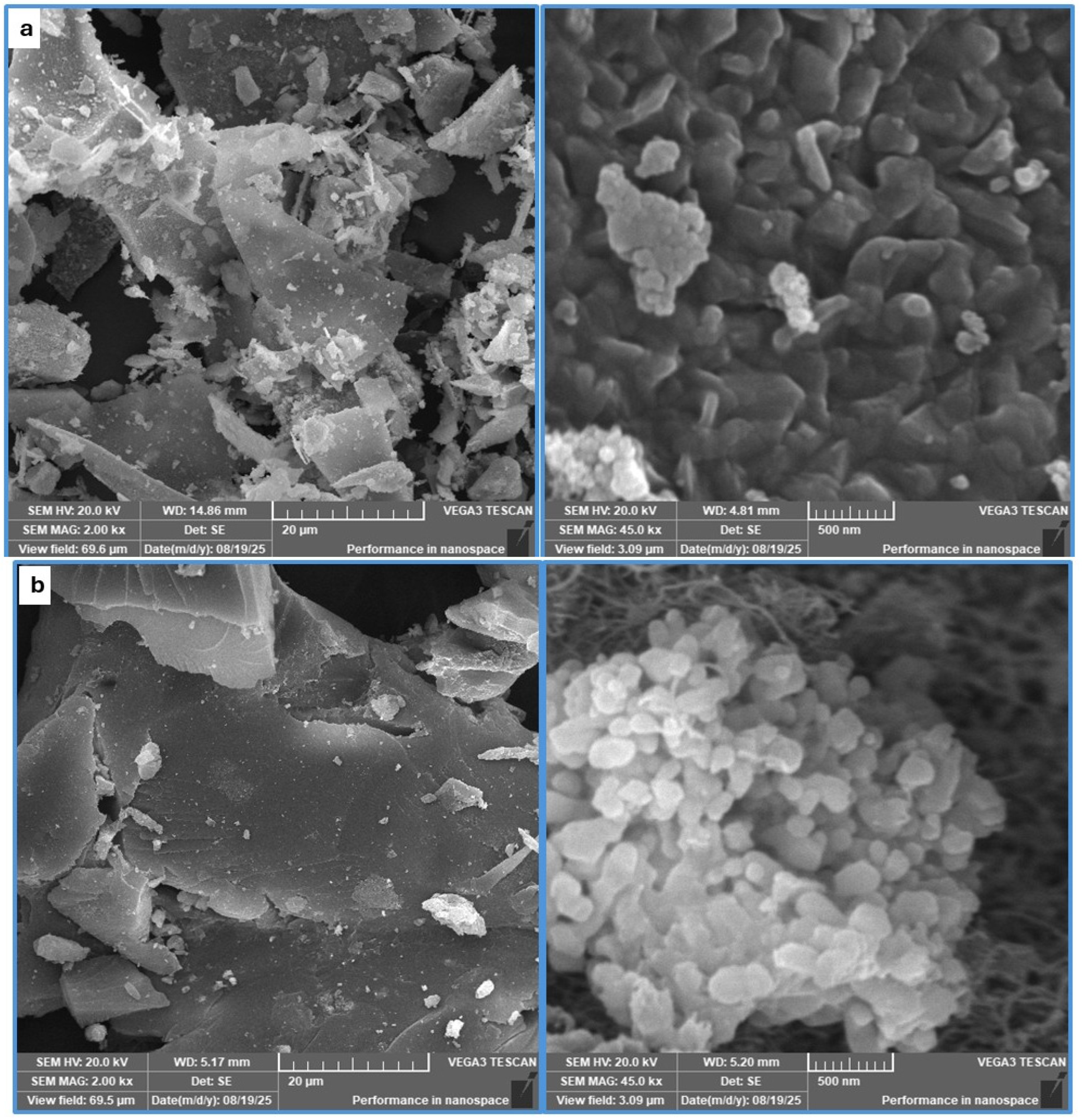 Catalysts 16 00262 g005 Catalysts 16 00262 g005