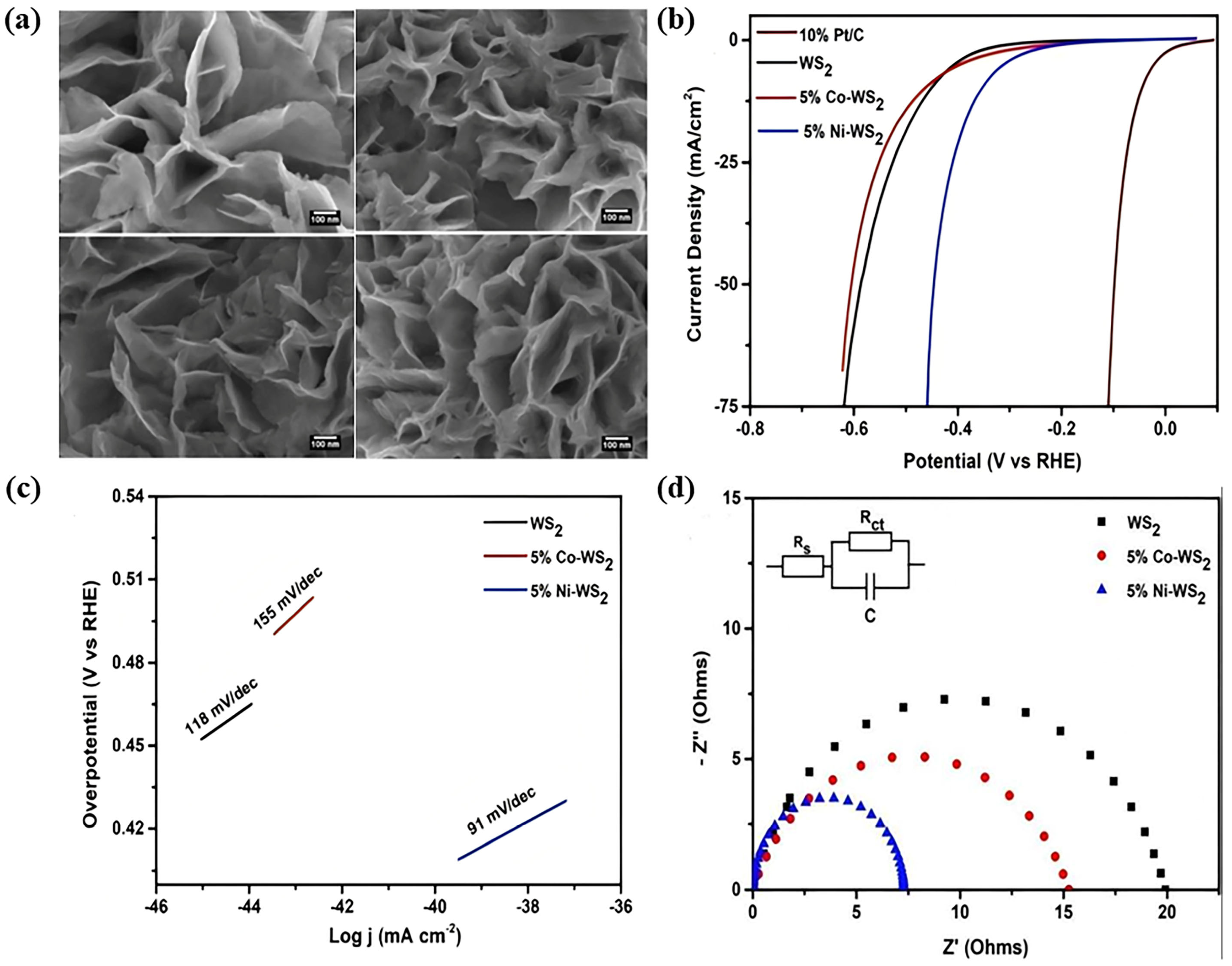 Catalysts 16 00266 g015