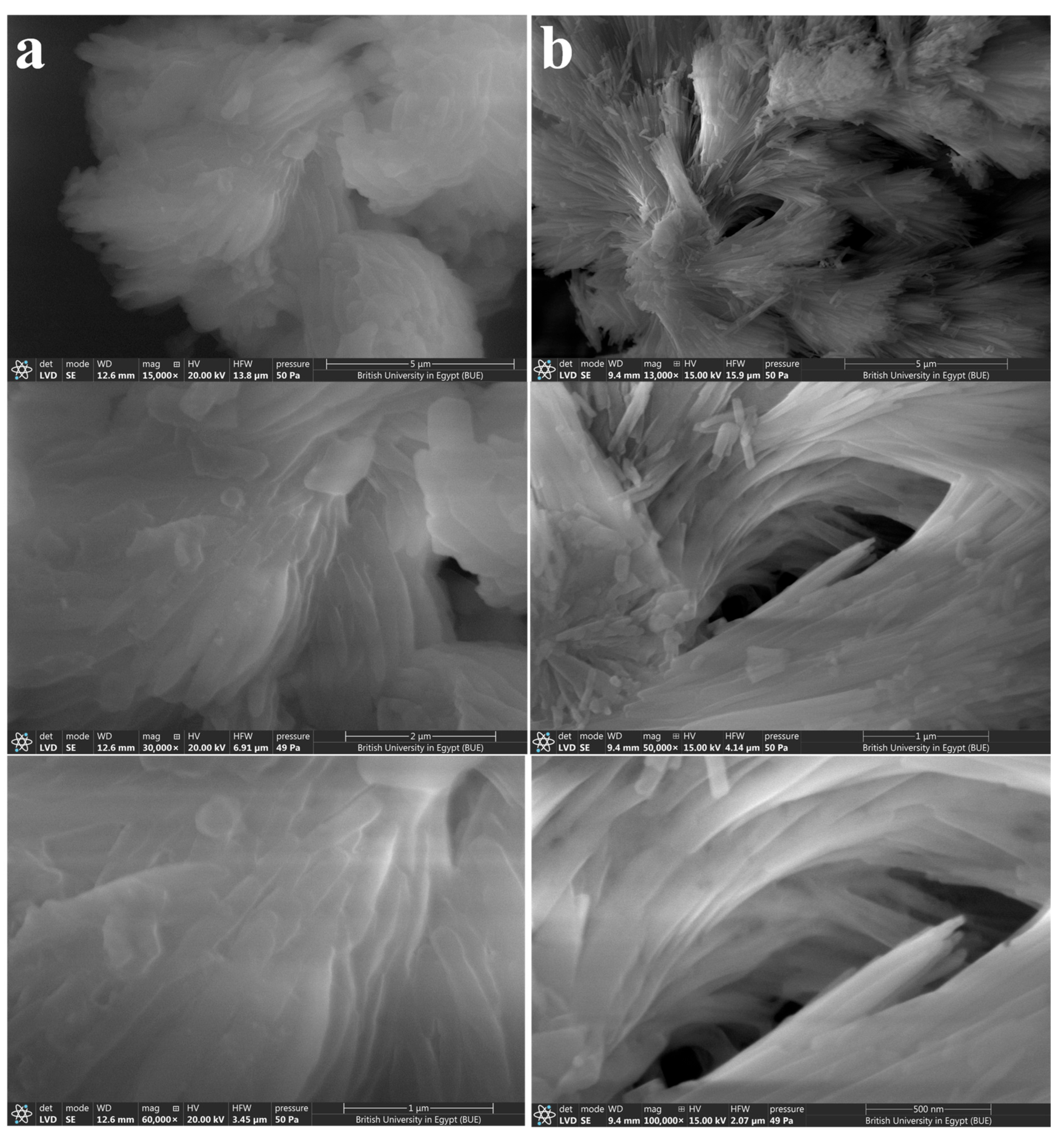 Catalysts 16 00271 g004