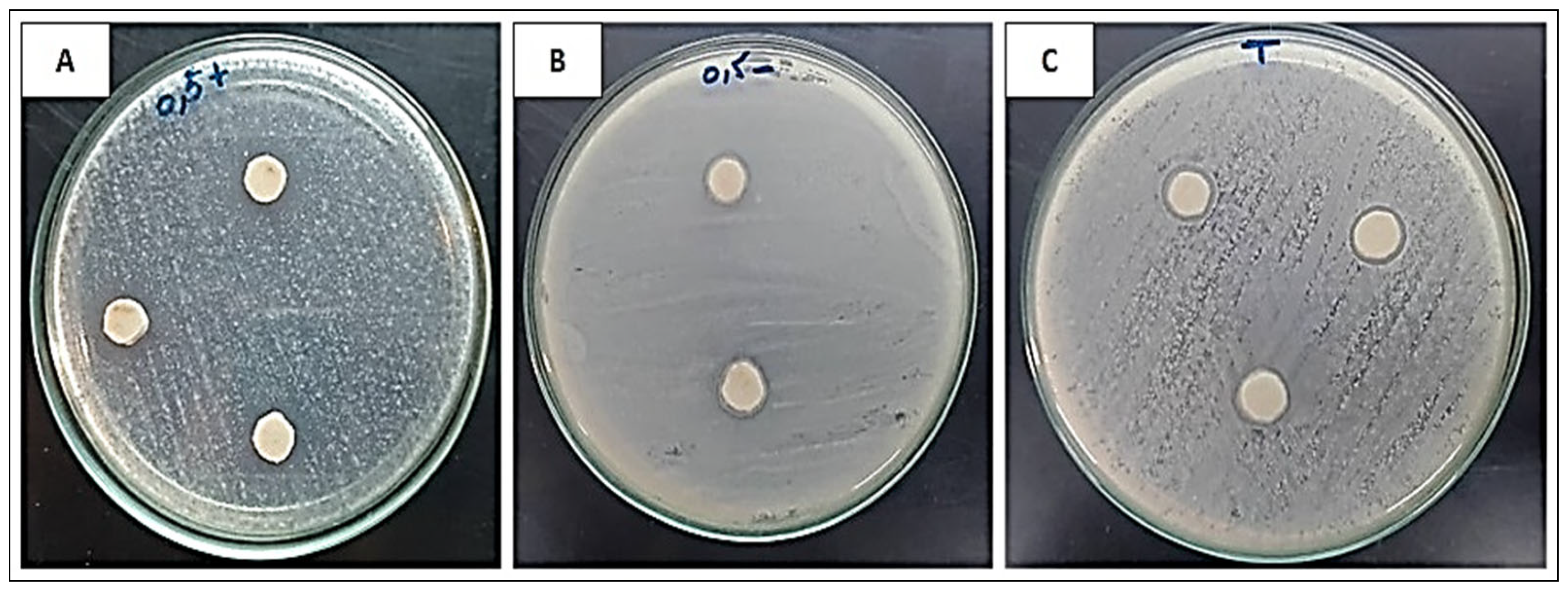 Catalysts 16 00276 g007