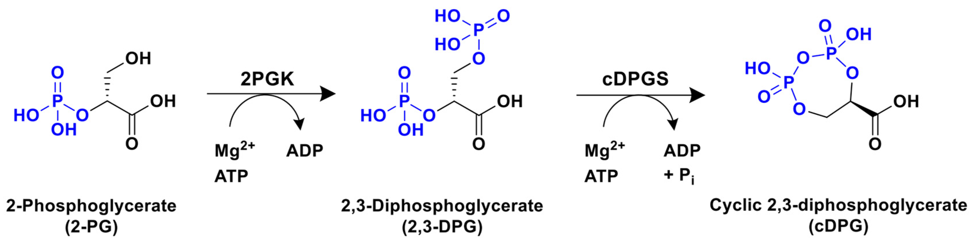 Catalysts 16 00305 sch001 Catalysts 16 00305 sch001
