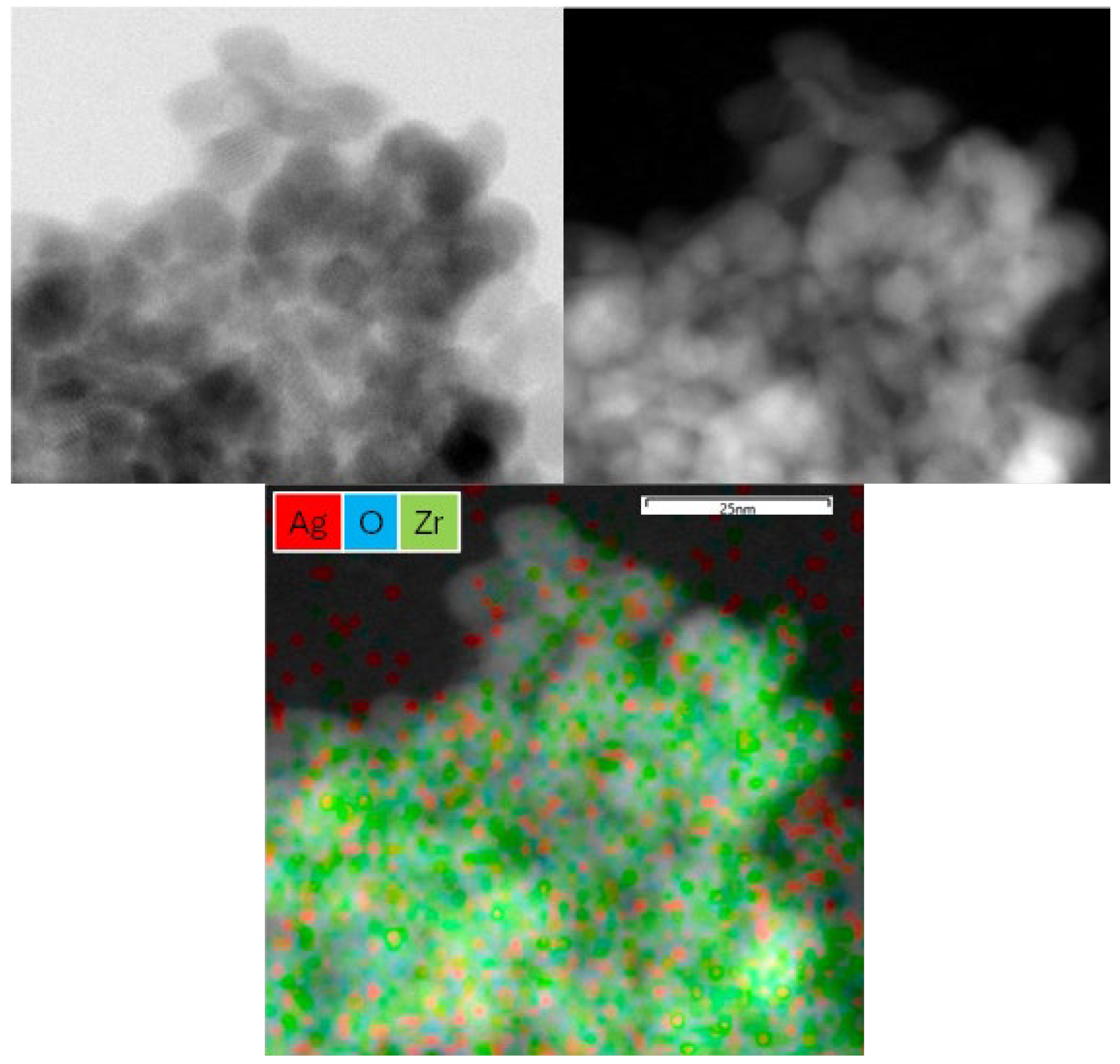 Catalysts 16 00314 g005