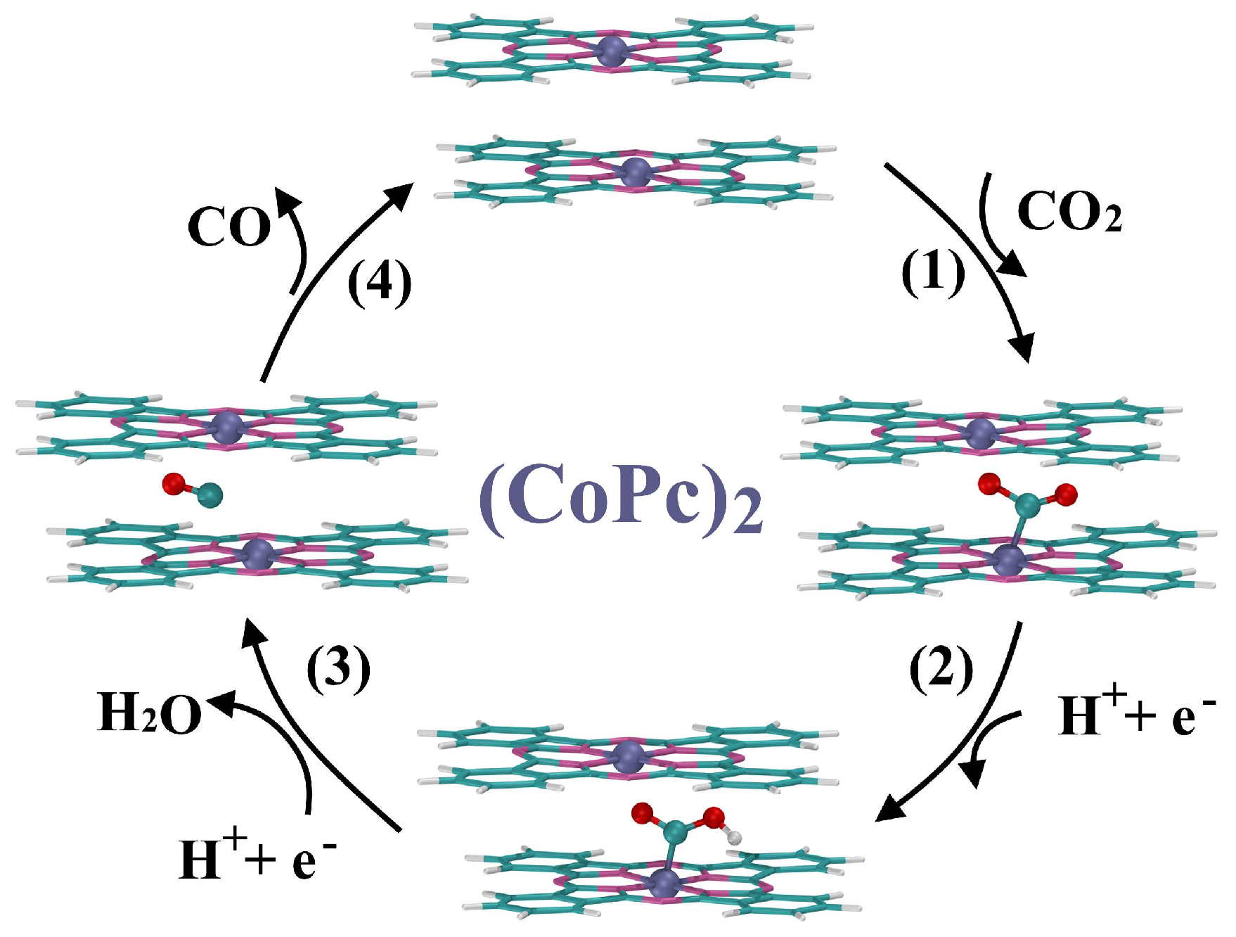 Catalysts 16 00328 g008