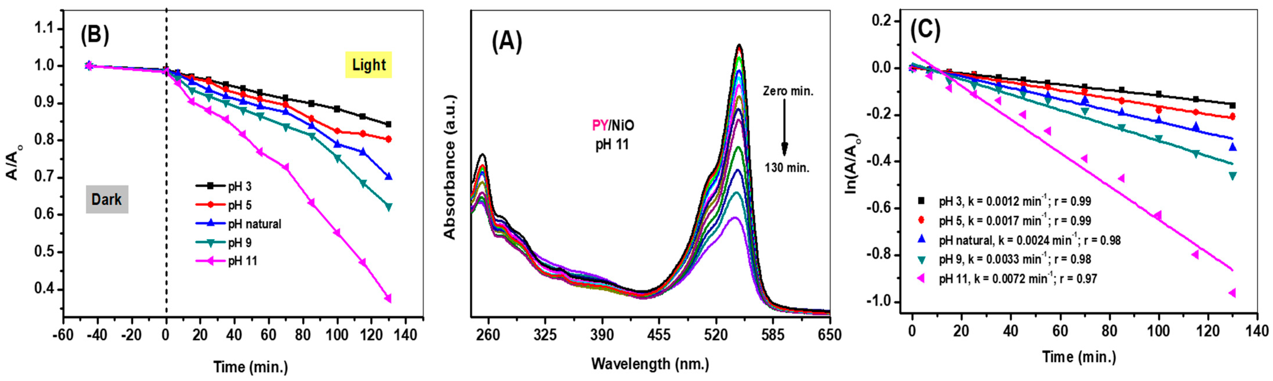 Catalysts 16 00339 g004 Catalysts 16 00339 g004
