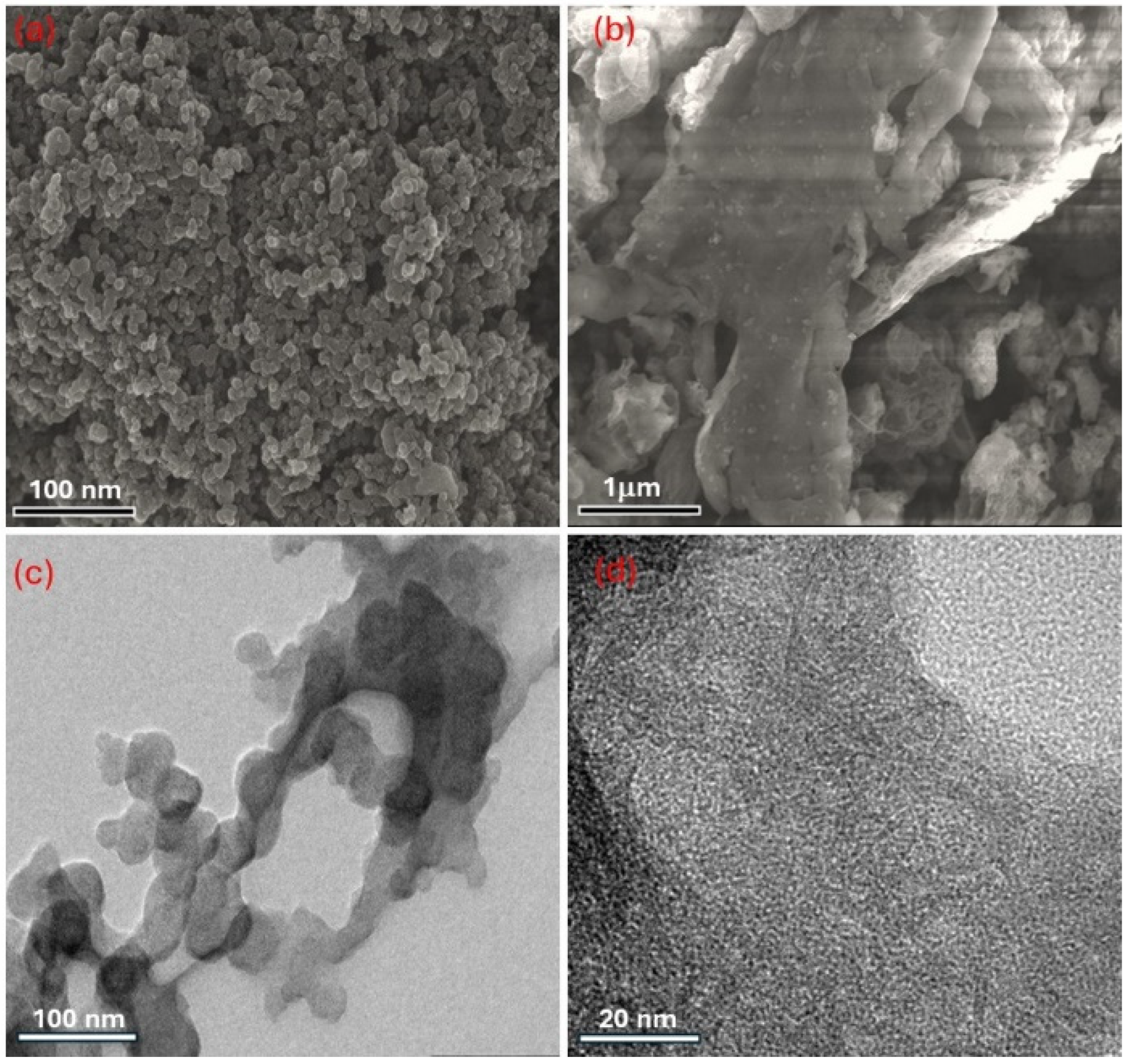 Catalysts 16 00345 g002 Catalysts 16 00345 g002