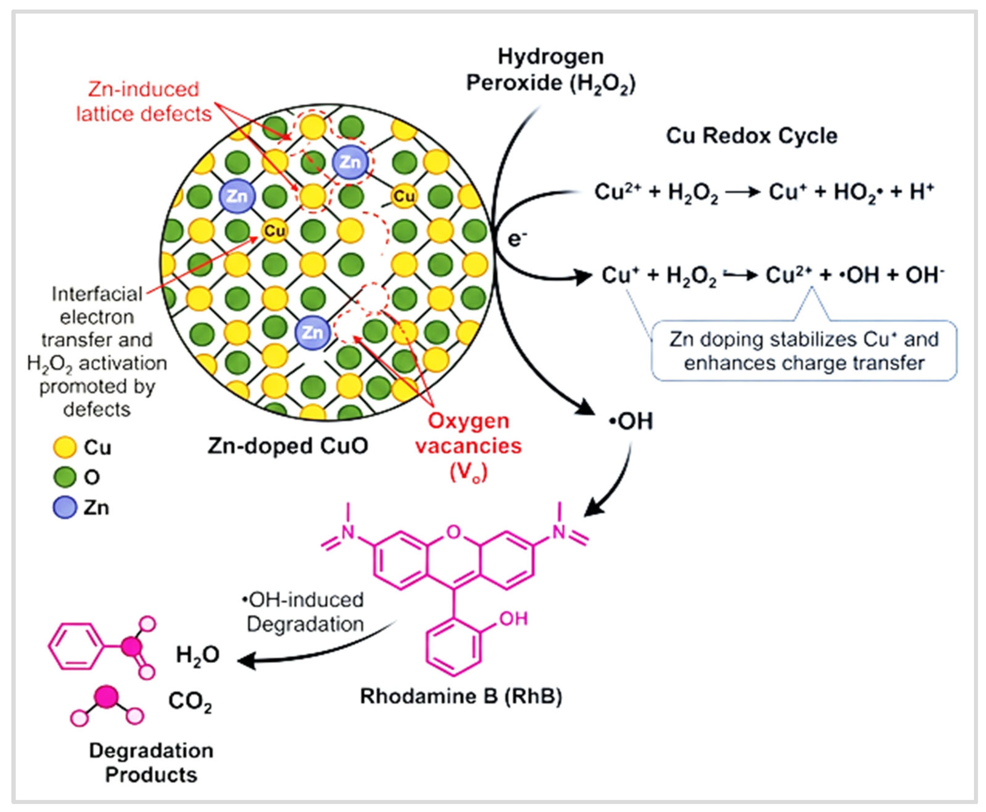 Catalysts 16 00352 g013