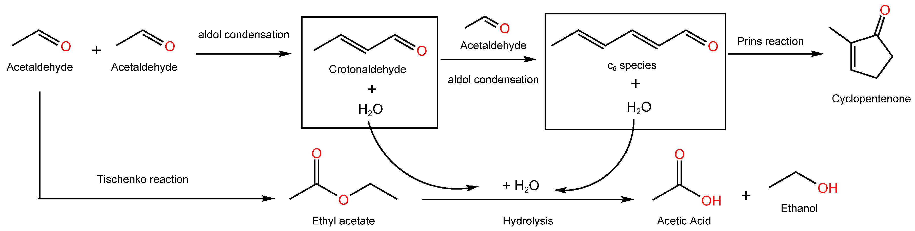 Catalysts 16 00353 g002