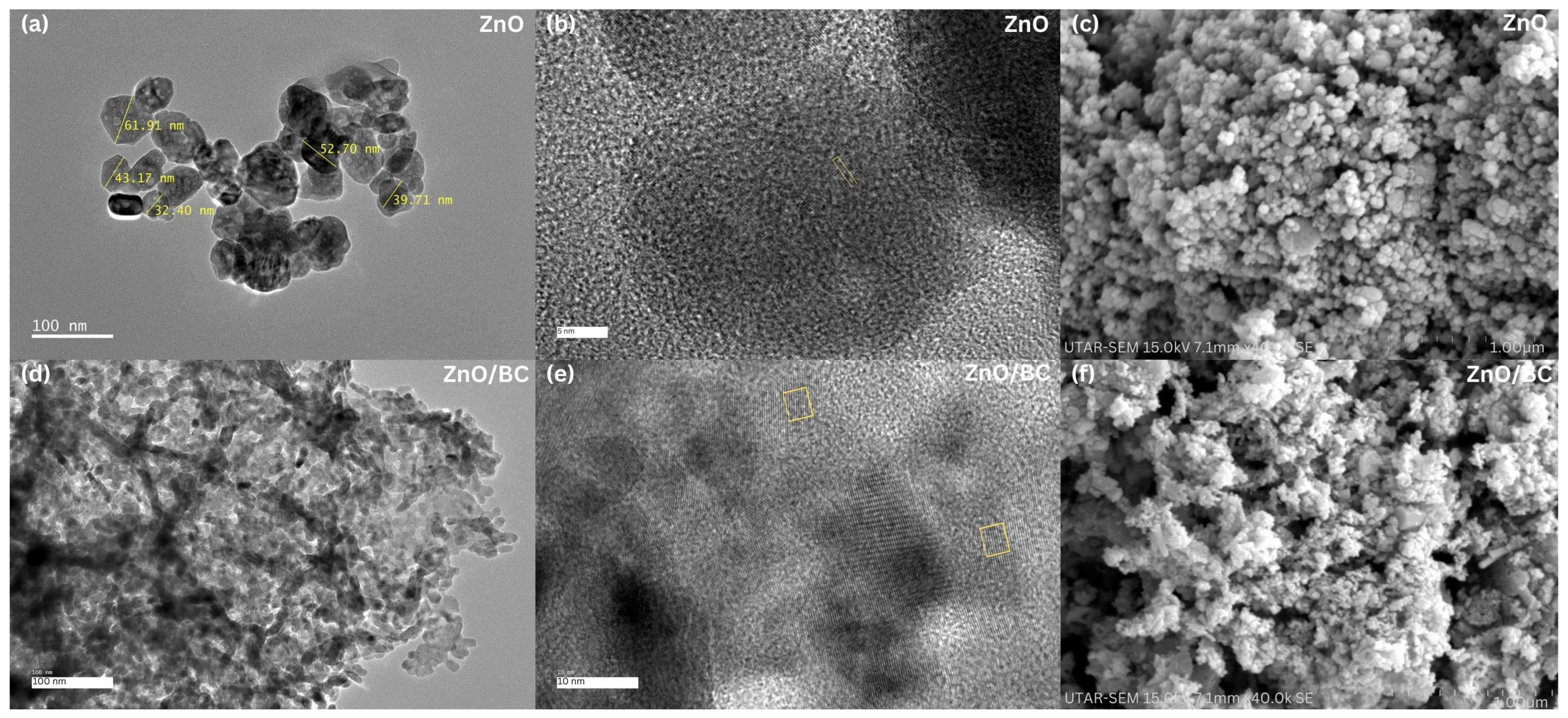 Catalysts 16 00363 g001 Catalysts 16 00363 g001