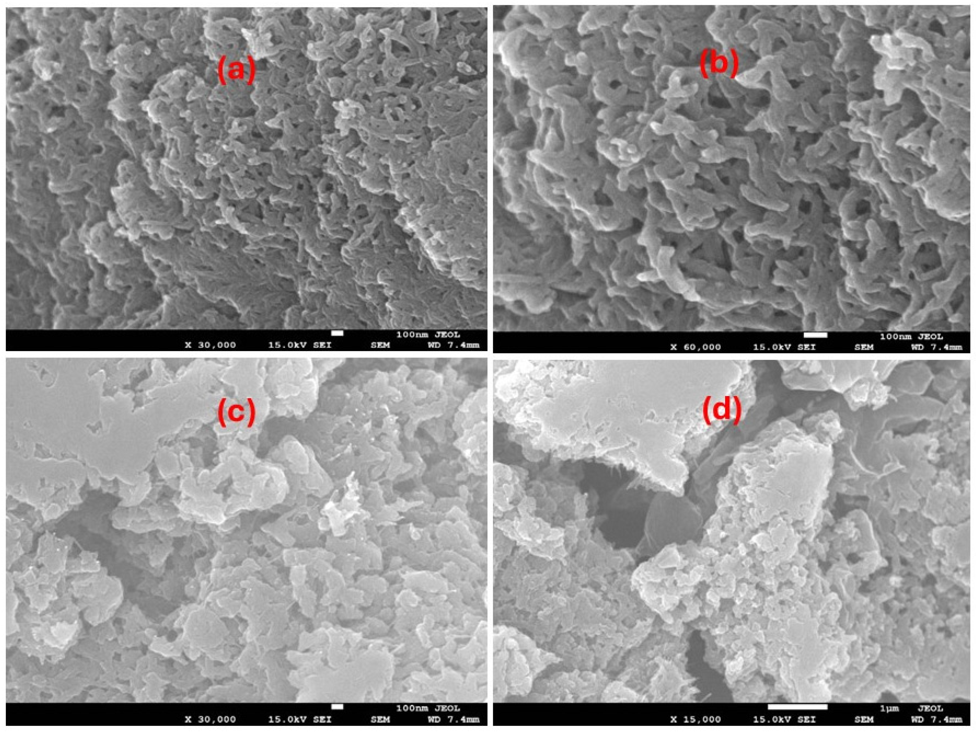 Catalysts 16 00370 g001 Catalysts 16 00370 g001