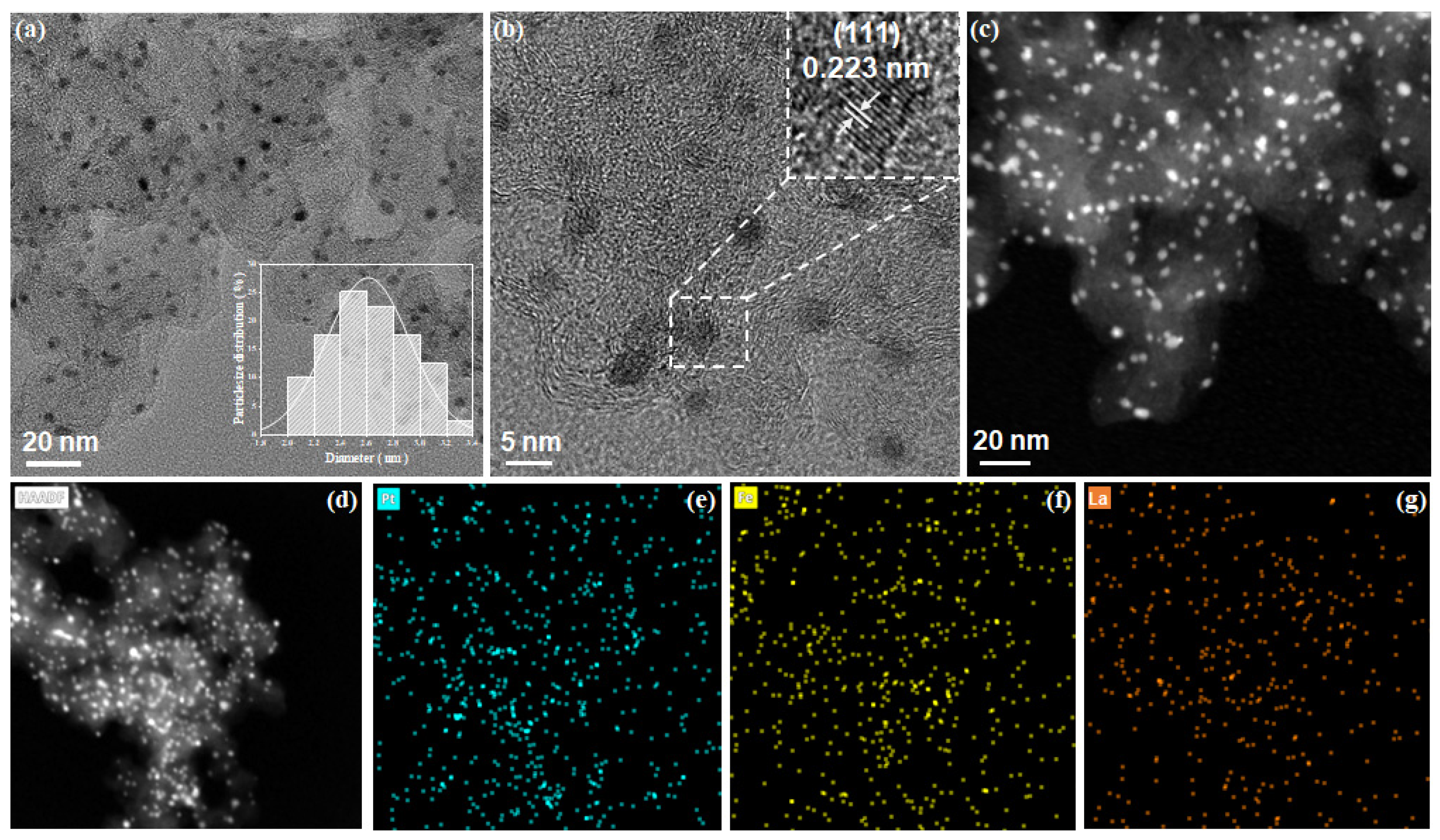 Catalysts 16 00373 g004 Catalysts 16 00373 g004