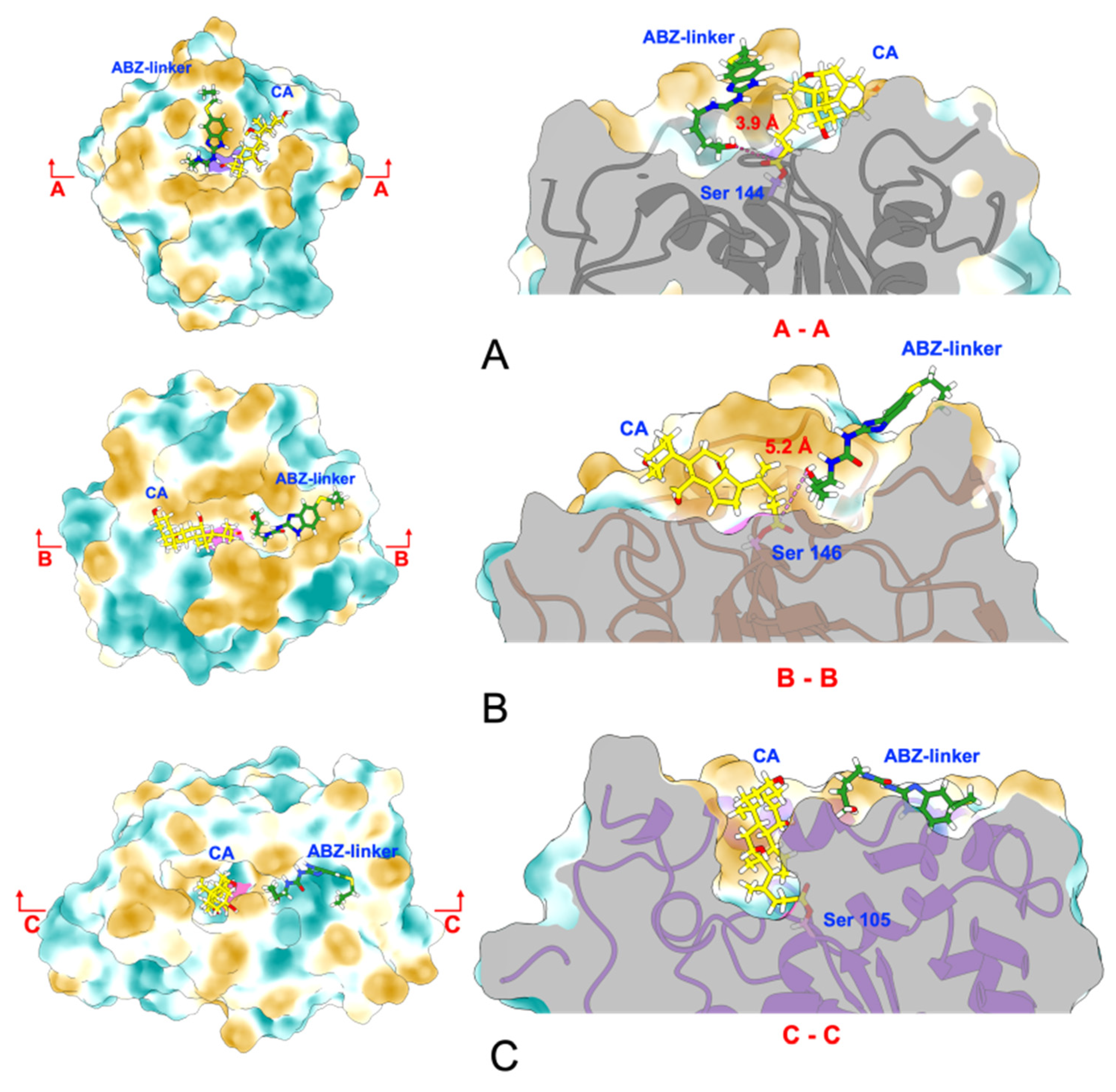 Catalysts 16 00382 g002