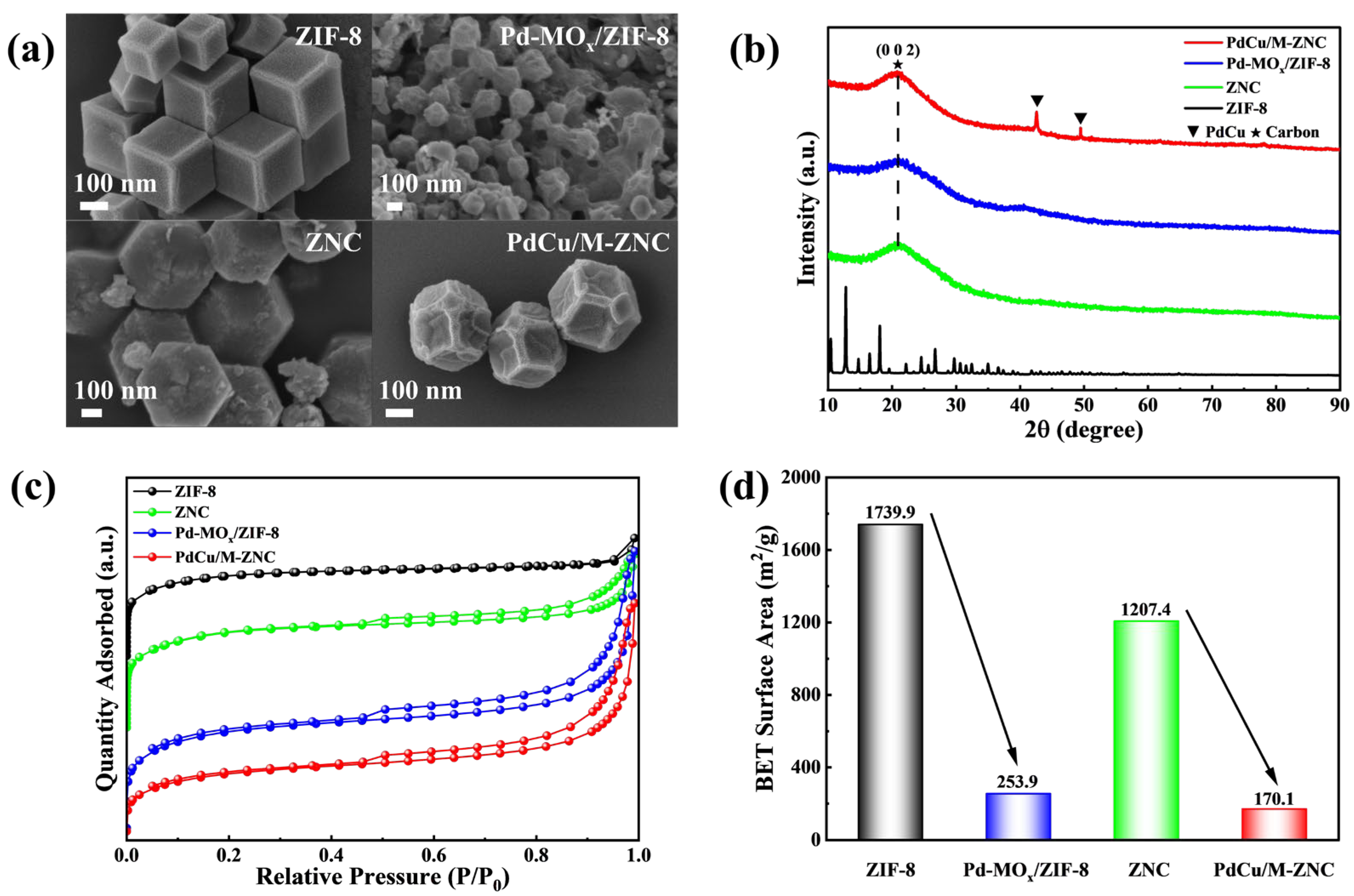 Catalysts 16 00385 g001 Catalysts 16 00385 g001