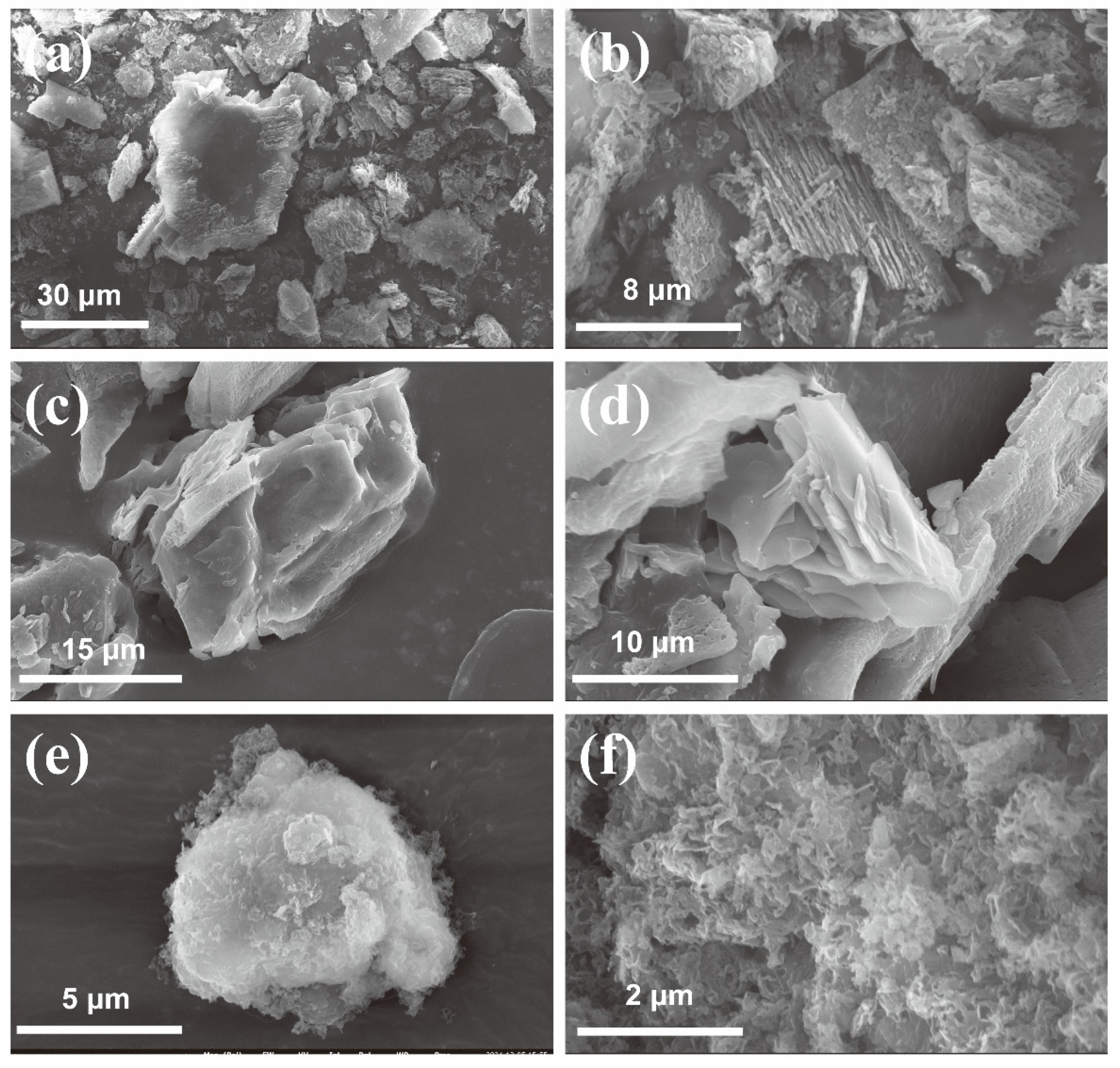 Catalysts 16 00396 g002