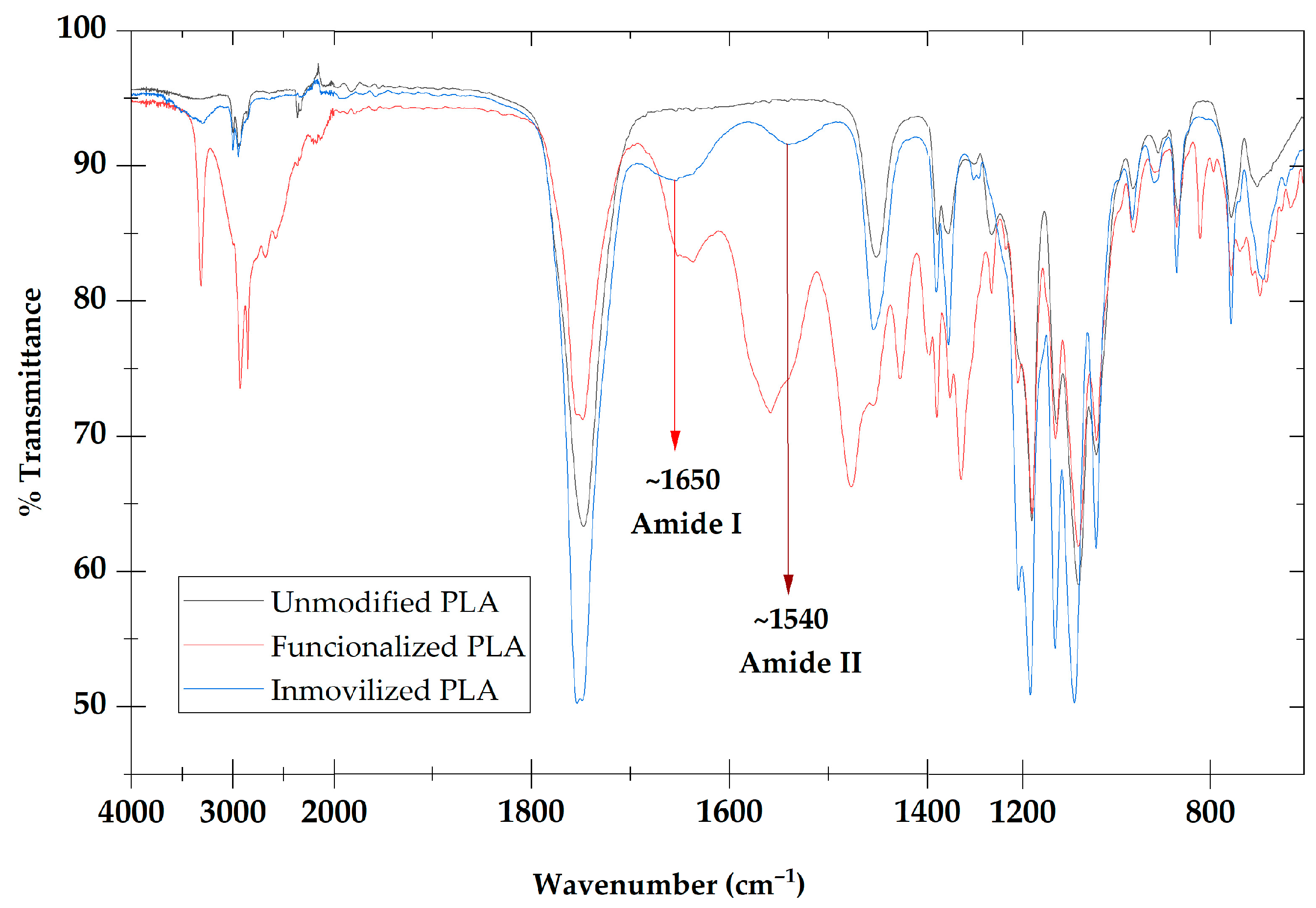 Catalysts 16 00398 g001