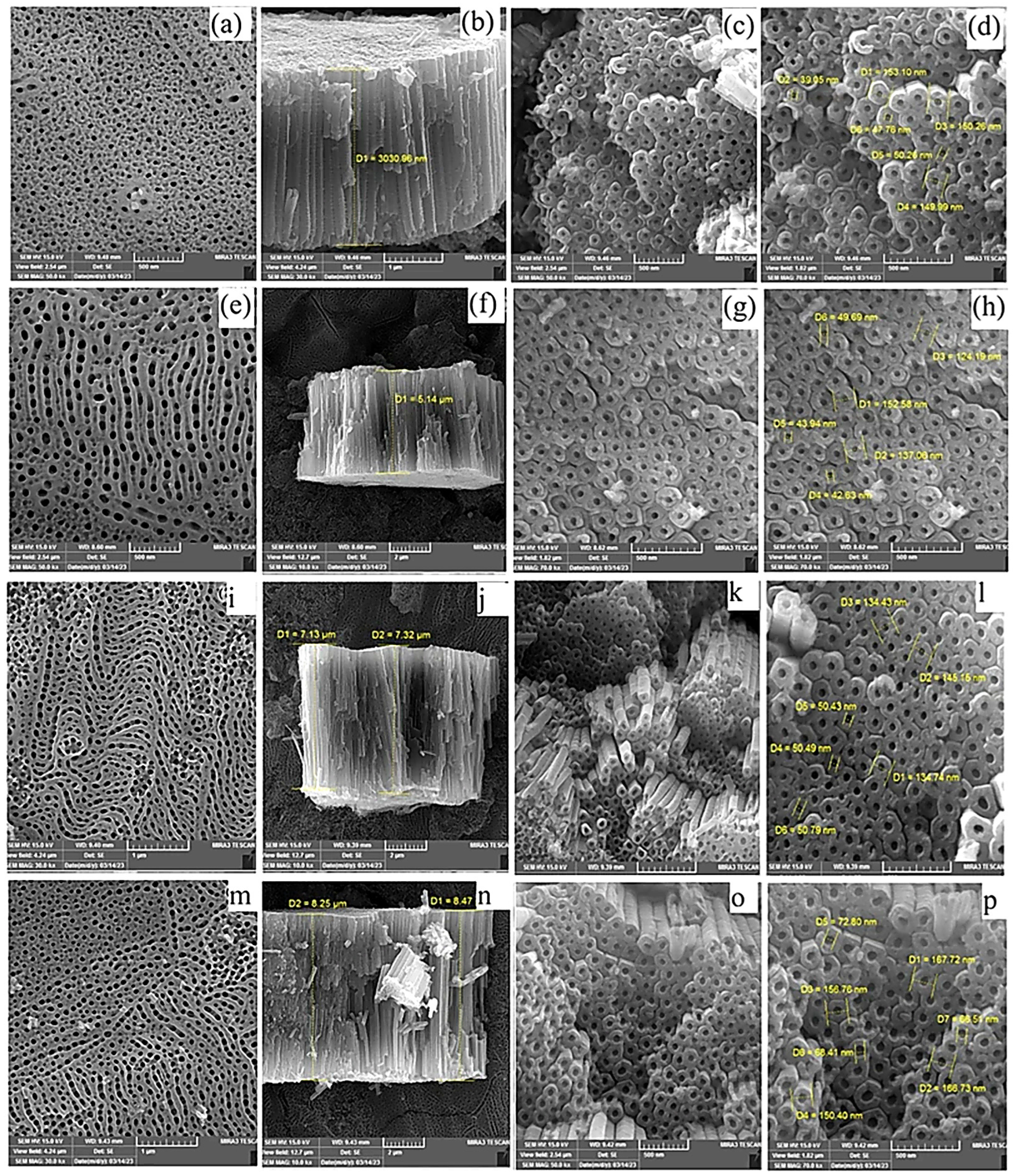 Catalysts 16 00422 g003