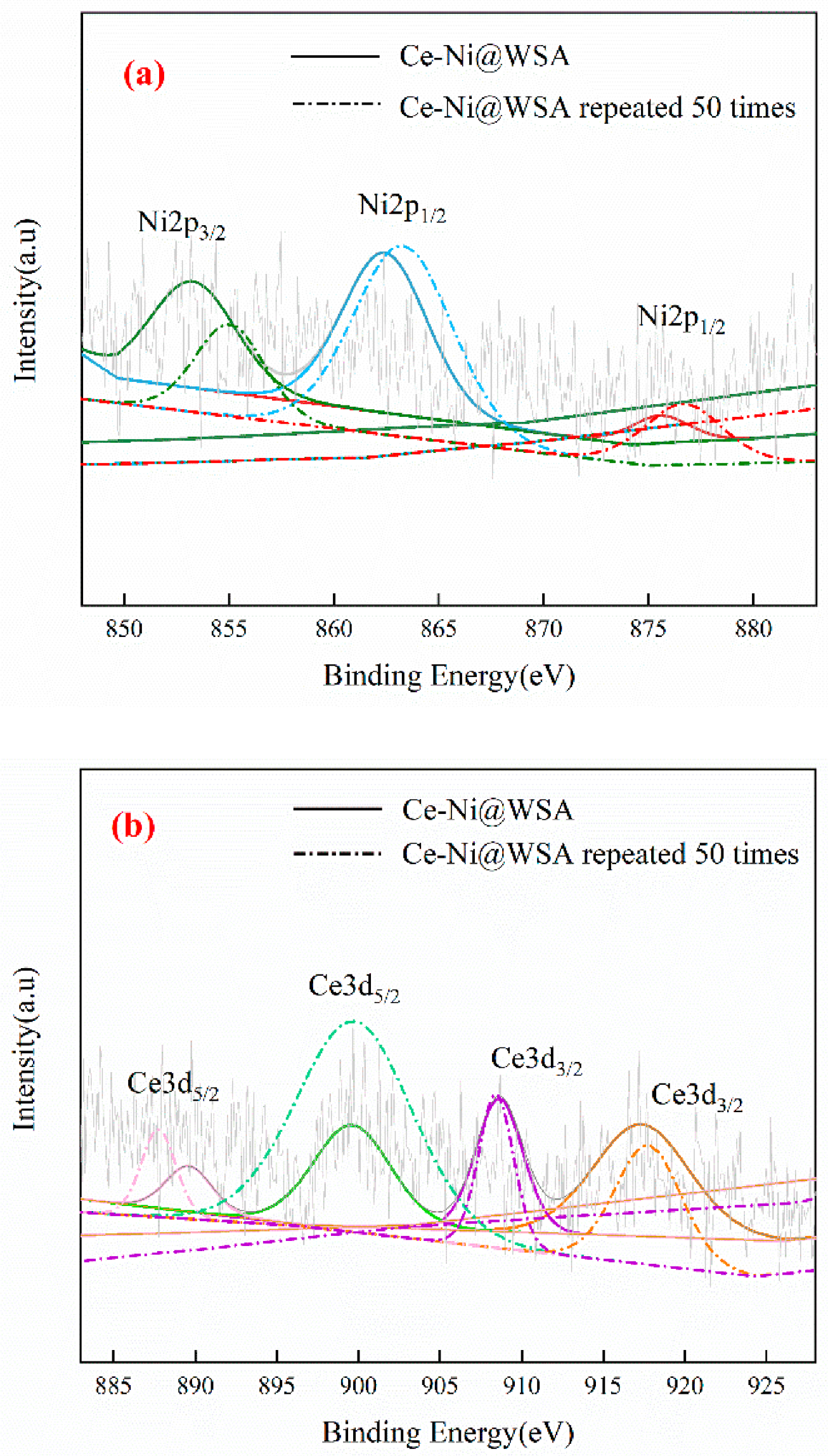 Catalysts 16 00432 g004