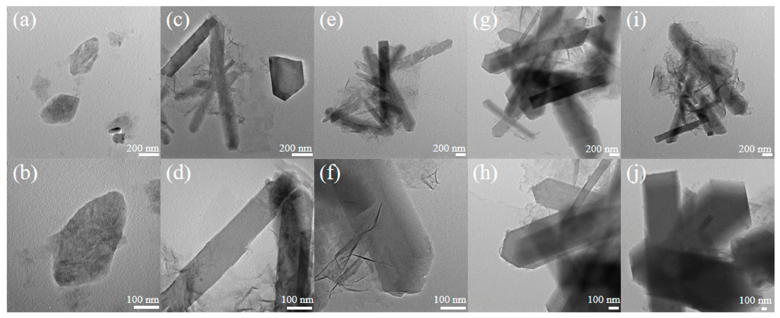 Catalysts 16 00452 g009 Catalysts 16 00452 g009