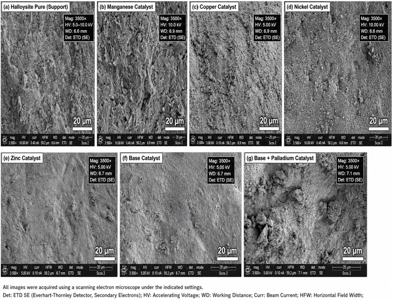 Catalysts 16 00473 g005 Catalysts 16 00473 g005